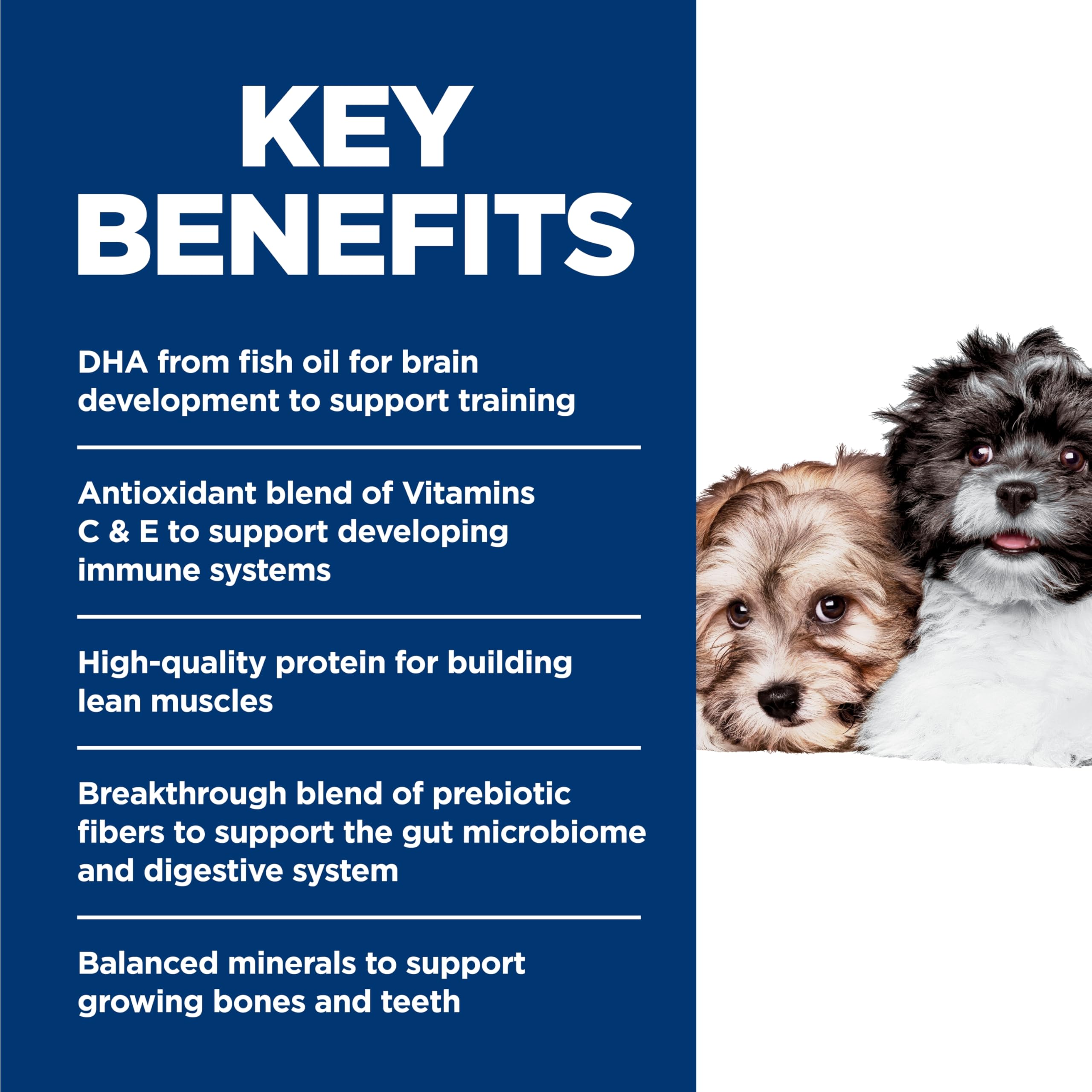 Hill's Science Diet Puppy Small & Mini Wet Food with Beef & Barley
