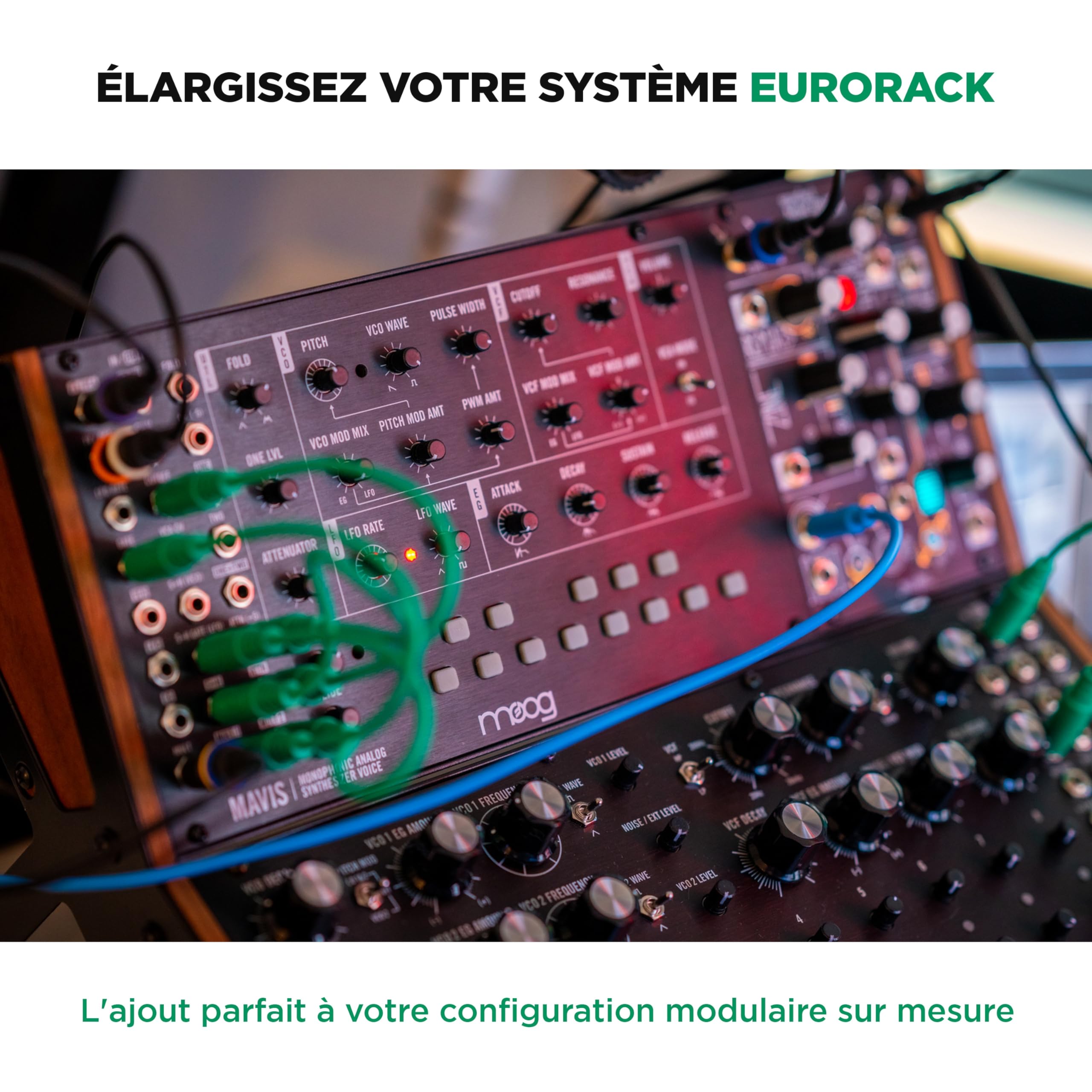 MOOG Mavis - Synthétiseur Analogique Autonome Semi-Modulaire avec Clavier, Oscillateur Analogique, Filtre, Générateur d'Enveloppe, Wavefolder