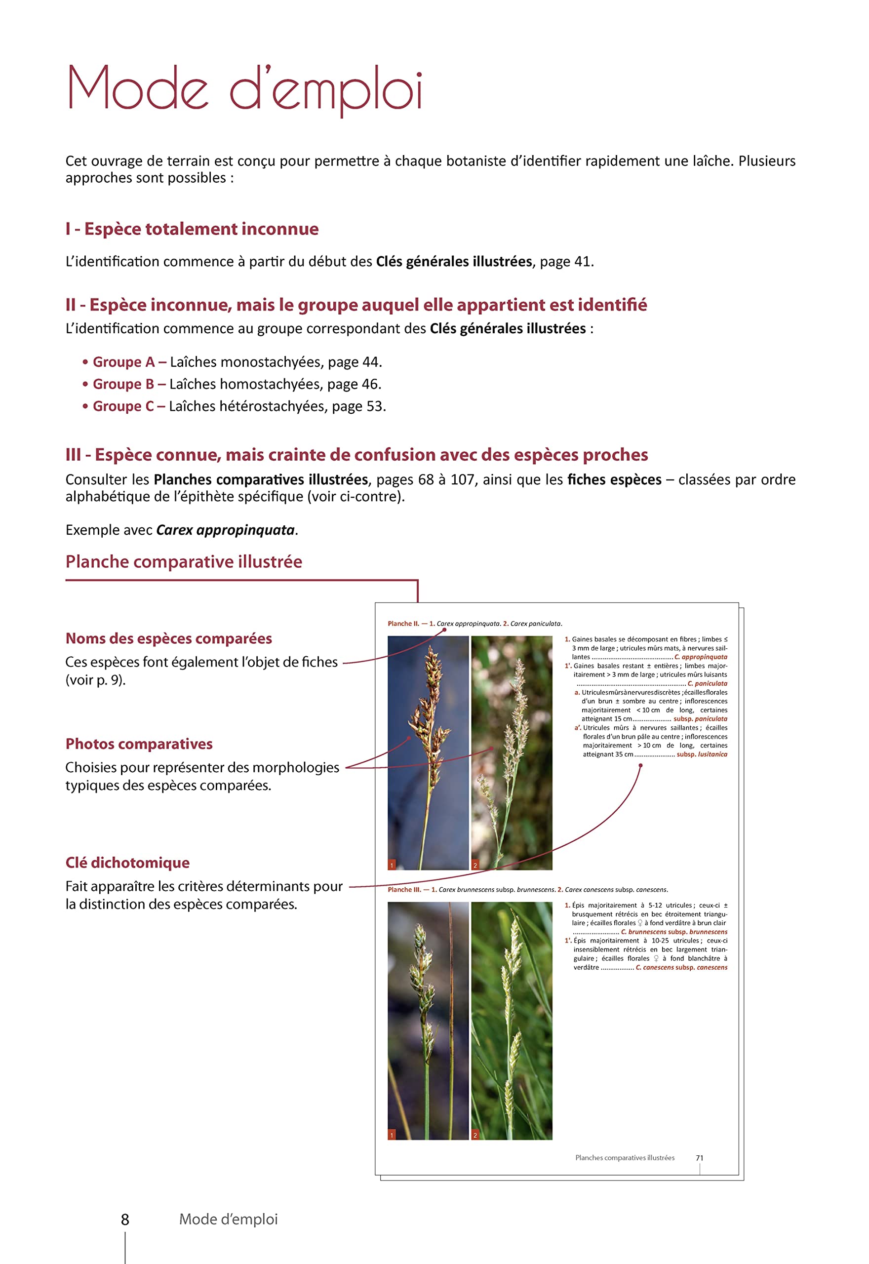 Carex de France