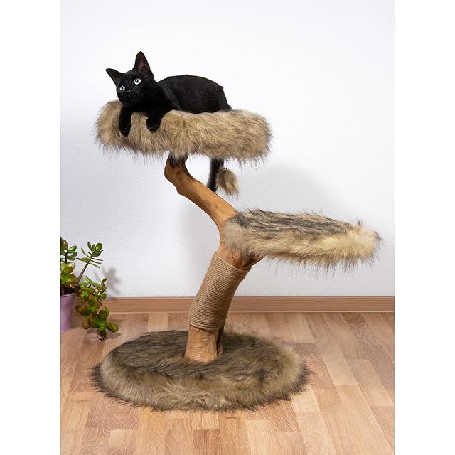 Foto 6 de 7 de dobar Árbol rascador de diseño Jimmy con Troncos Naturales y Pelota