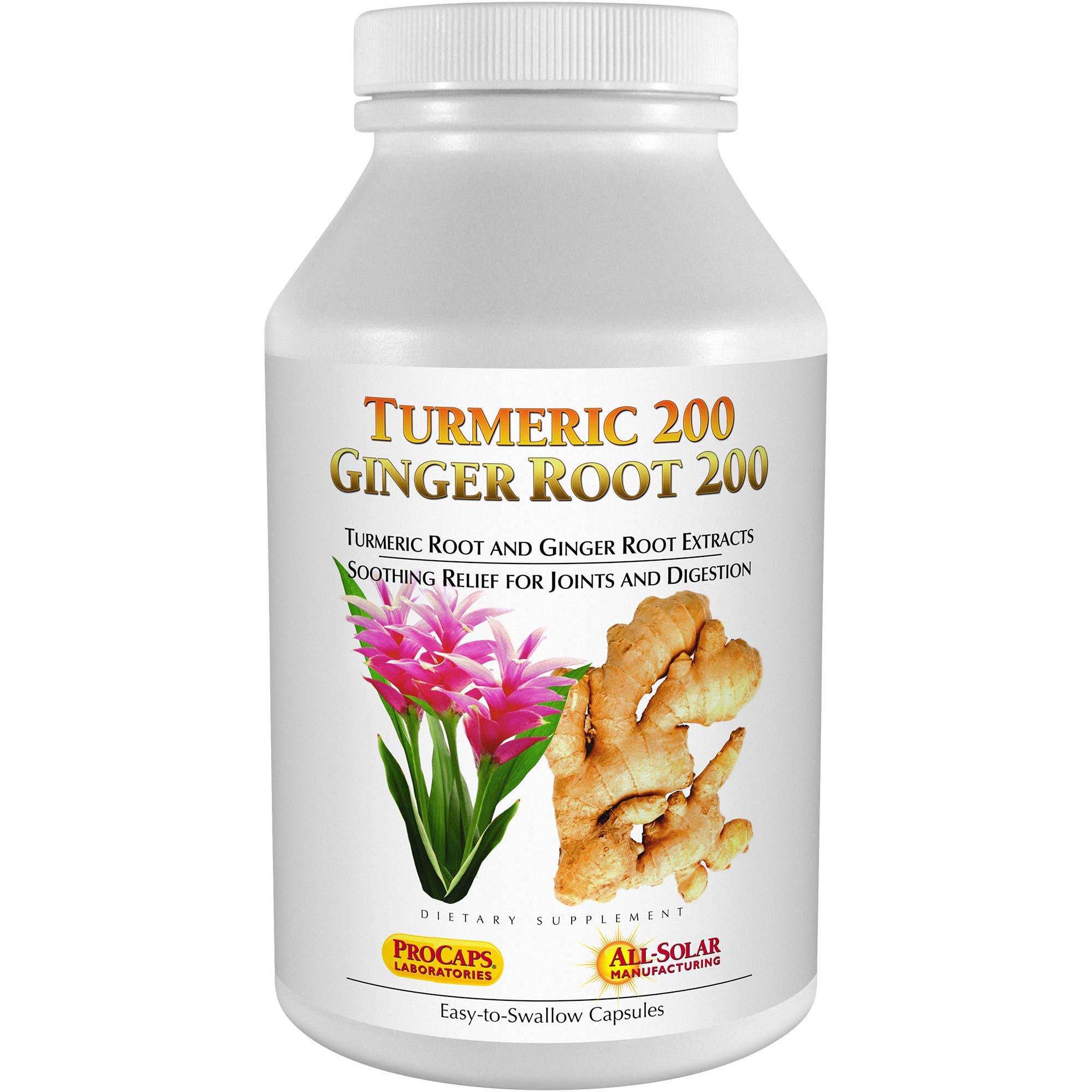 Andrew Lessman Turmeric 200 Ginger Root 200 - 60 Capsules – Naturally Soothe The Joints and Digestive Systems. Two Pure Extracts. Protective, Anti-Aging, Anti-oxidant Properties. No Additives
