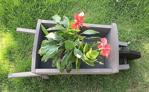 Miniatura 3 de Seny Bonita maceta de jardín estilo carretilla con ruedas para exteriores e interiores