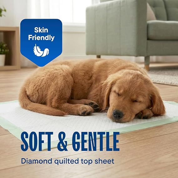 Chucks Pads Disposable [50-Pack] Underpads 17x 24 - Pee Pads for Dog, Puppy - Diaper Changing Table Pad for Baby - Incontinence Bed & Chair Liners for Elderly - Pet Potty Training Pads - Leak Proof