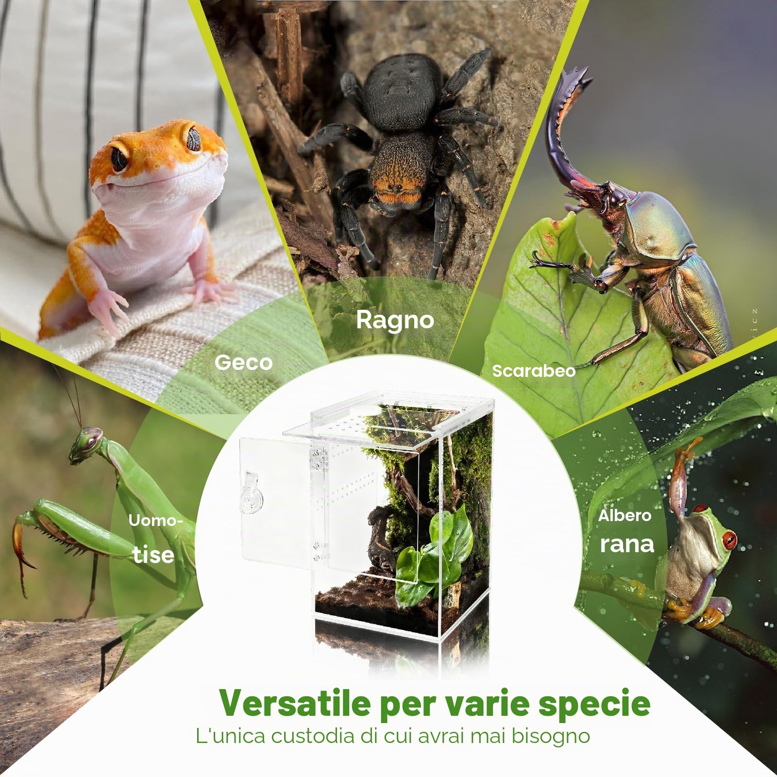 Terrario, 360° Terrarium Acrilico - Teca per Rettili Trasparente | 20x20x30CM,Terrario Rettili per ragni, lumache, mantidi, lucertole, raganelle, paguri, coleotteri