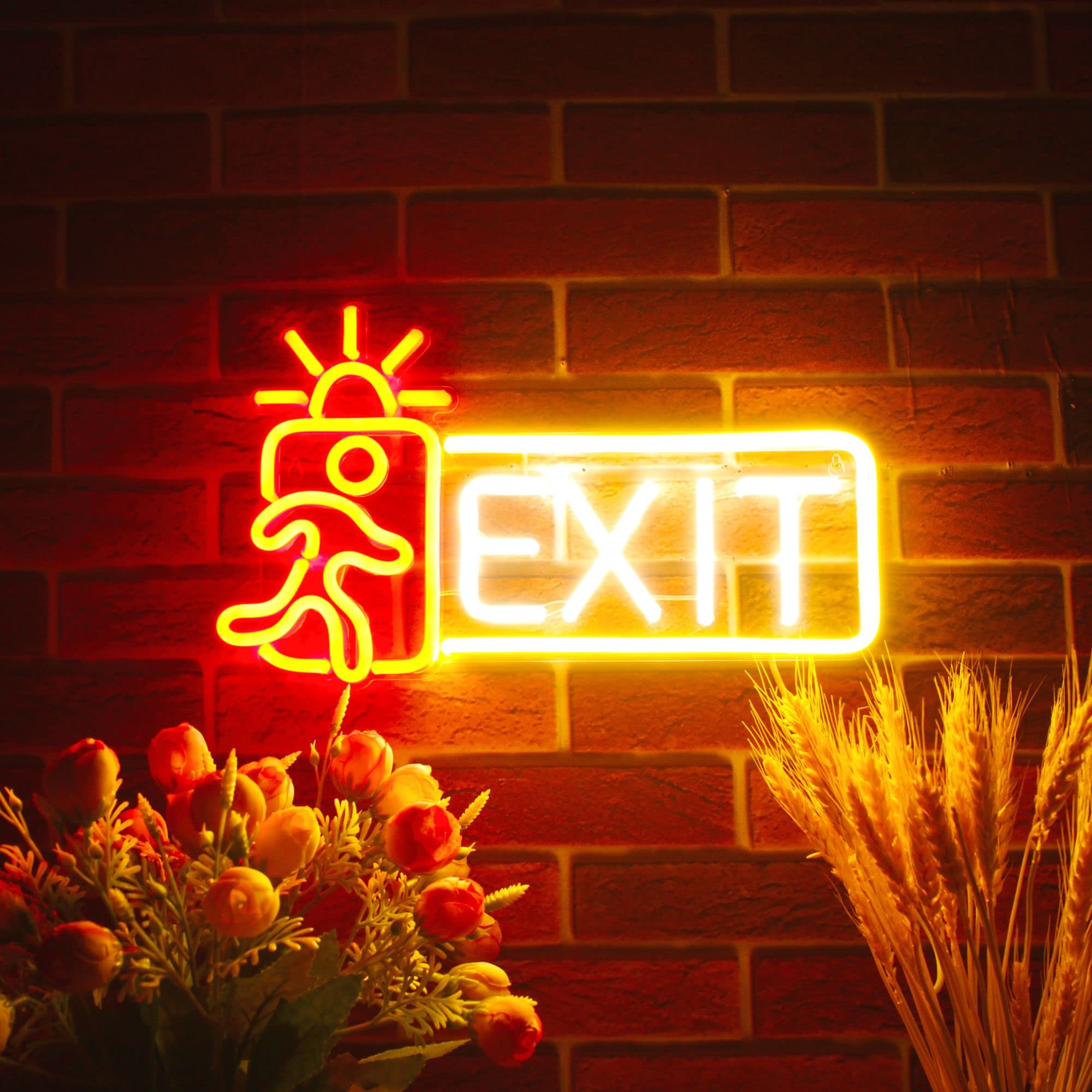 Amazon.com : ADVPRO Exit Sign Flex Silicone LED Neon Sign - Red