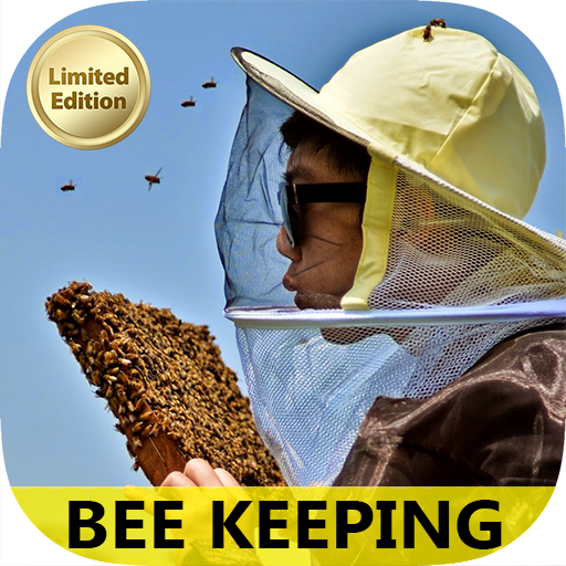 Best Starting Bee Keeping Guide - Easy Basic Bee Farming Plans & Maintenance Tips For Beginners