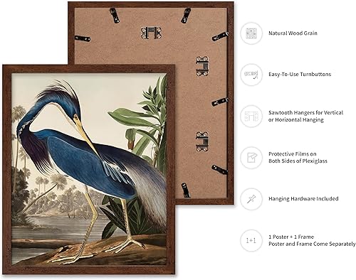 Miniatura 235 de Poster Master Póster vintage de flamenco americano, estampado retro de flamenco rosa, arte de pájaro, regalo para él, ella, amante de los animales,