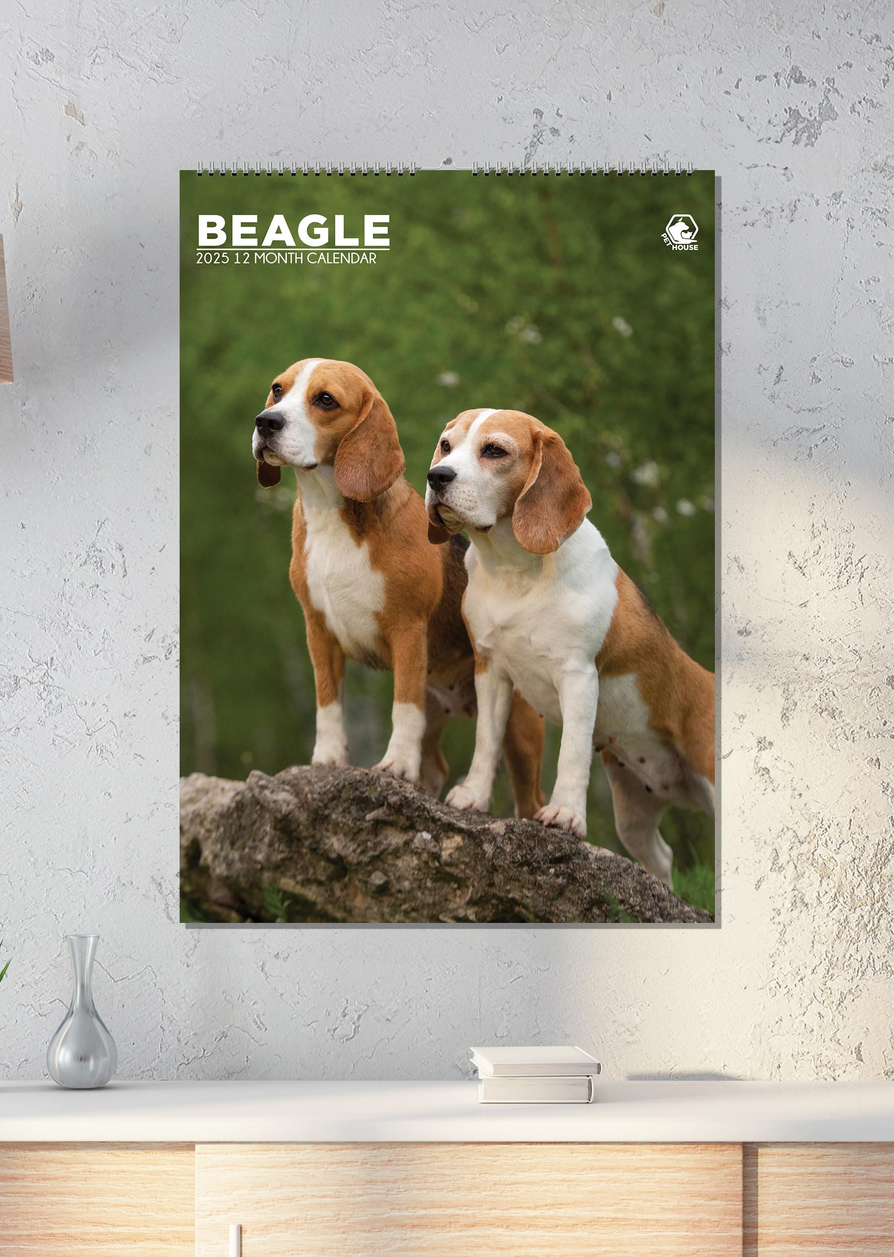 Beagle 2025 - A3 Size Wirobound Calendar - Image 2