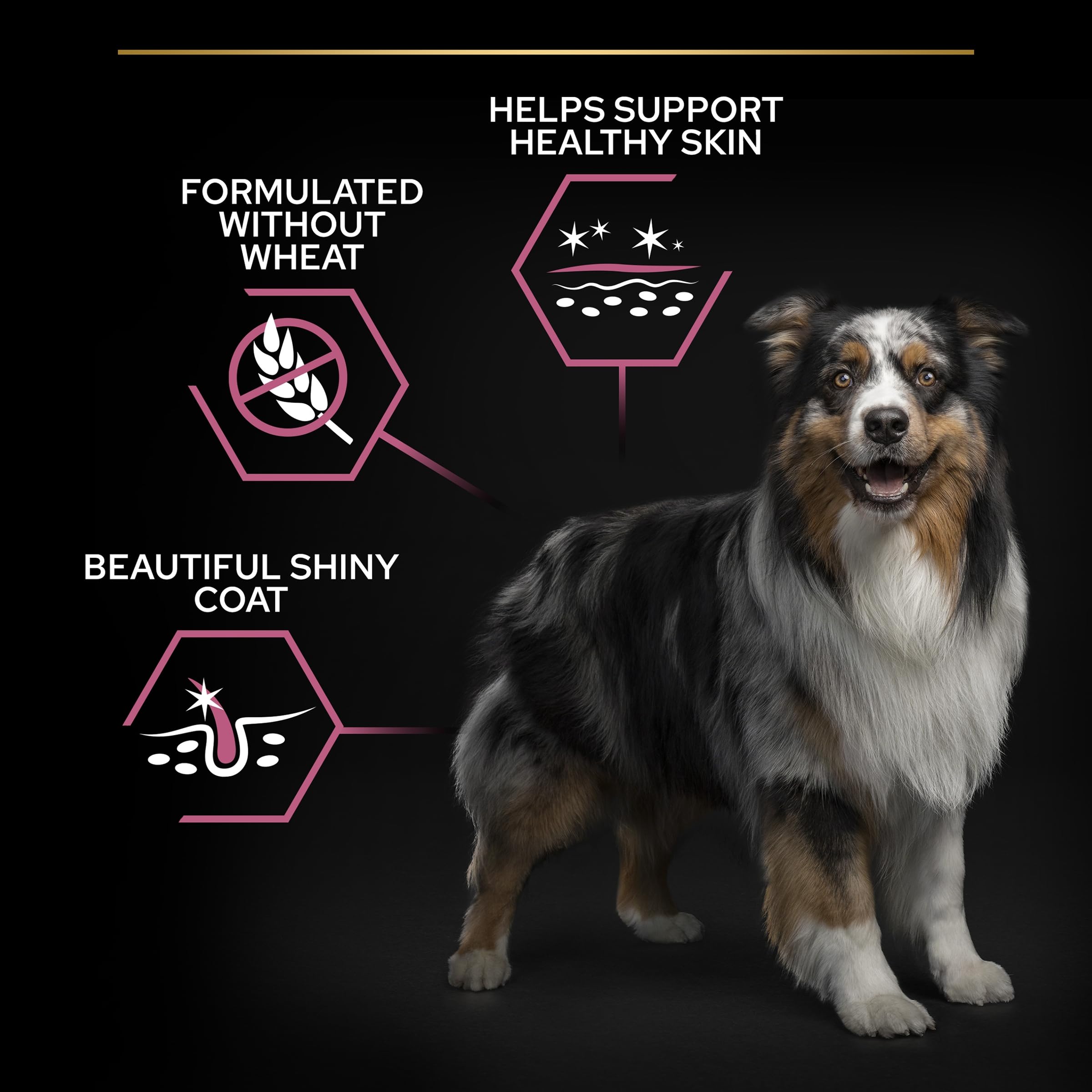 PURINA PRO PLAN | Sensitive Skin | Croquettes complètes pour chiens de moyenne et grande taille de plus de 7 ans | Favorise une peau saine et un pelage brillant | Au Saumon | Croquettes | Sac | 14 Kg