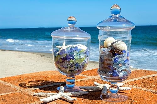 Miniatura 3 de SuperMoss (24192) Relleno de jarrón de vidrio marino, 4 libras, blanco esmerilado