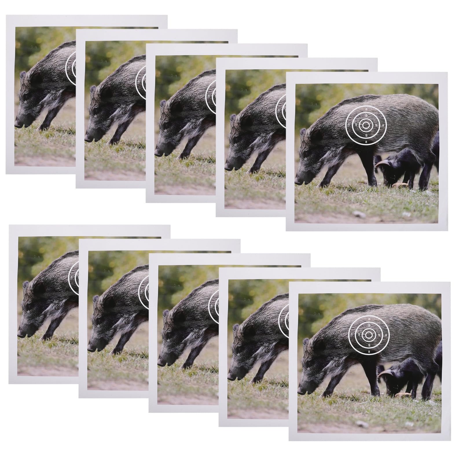 50pcs Wild Boar Paper Archery Target with Scoring Rings 15.75 Inch
