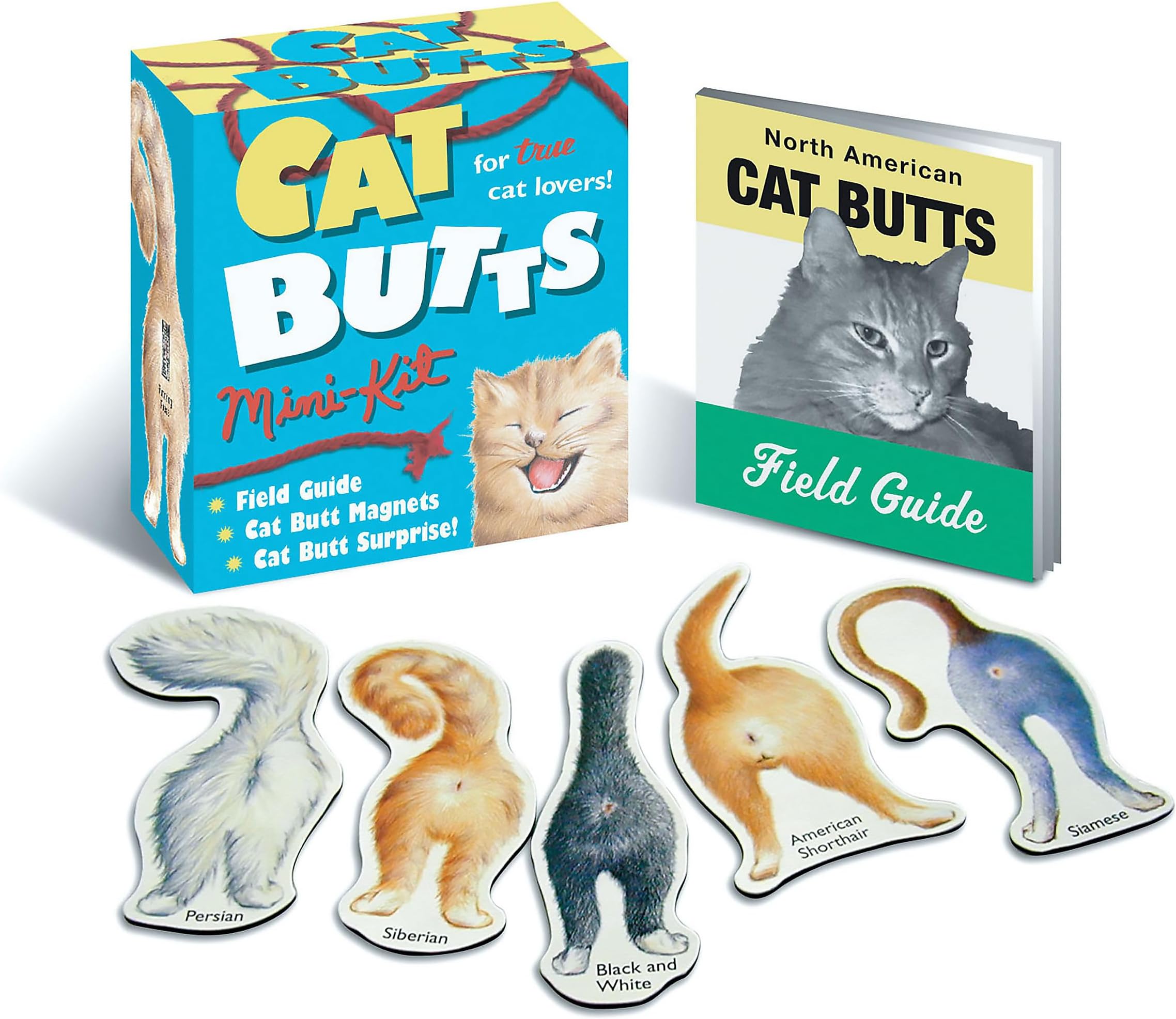Cat Butts (RP Minis)