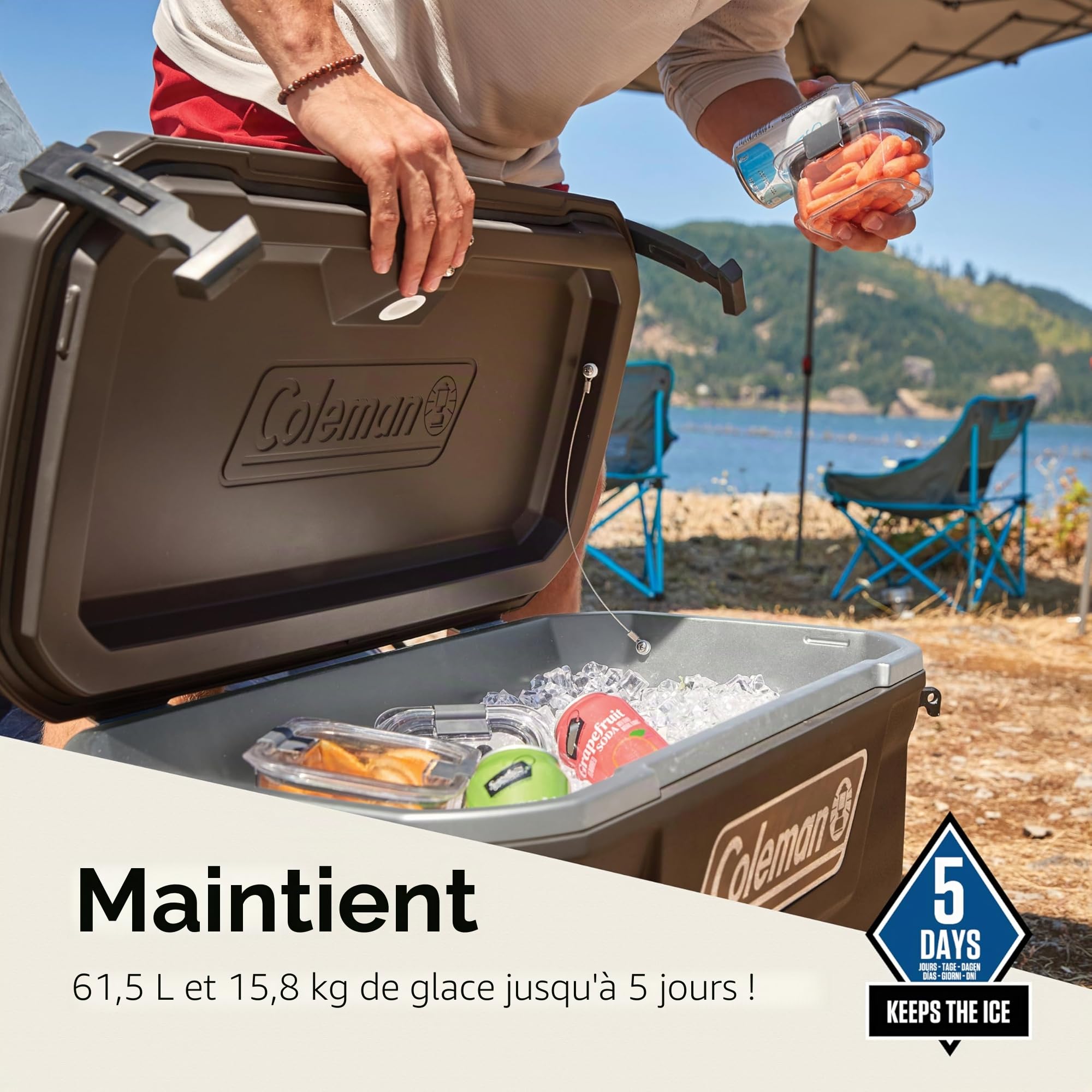 Coleman Convoy Glacière | Capacité 27L-62L | Contient la Glace Pendant 2-4 Jours | Isolation entièrement en Mousse | Grande glacière Portable pour Une Utilisation Robuste en extérieur