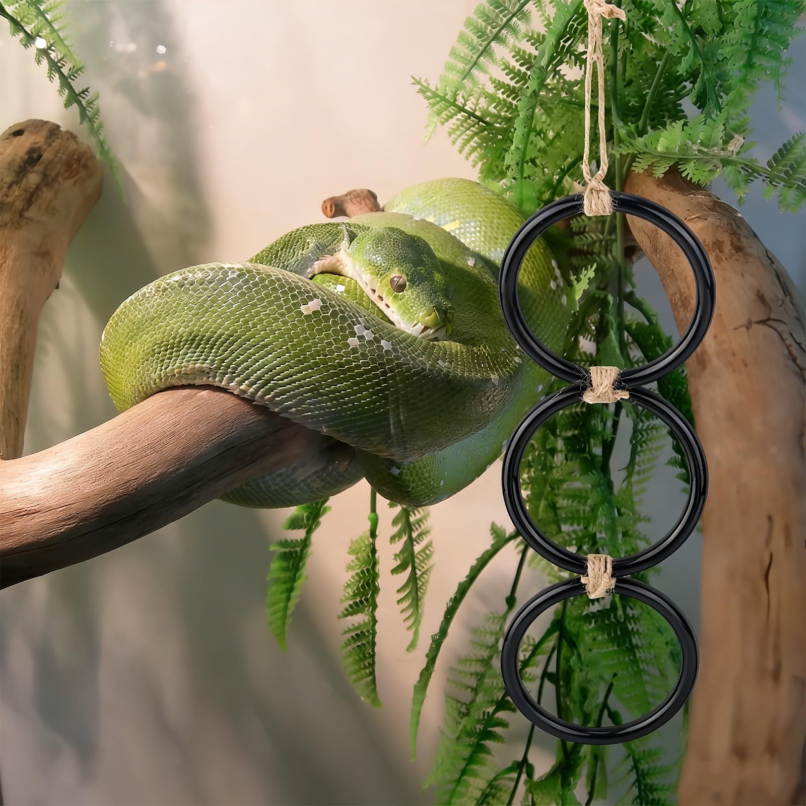 SBLKUY 2PCS Snake Climbing Rings, Corn Snake Enrichment Rings Hanging Ball Python Enrichment Accessories for Reptile Tank Cage Bearded Dragon Lizard(Black) - 5