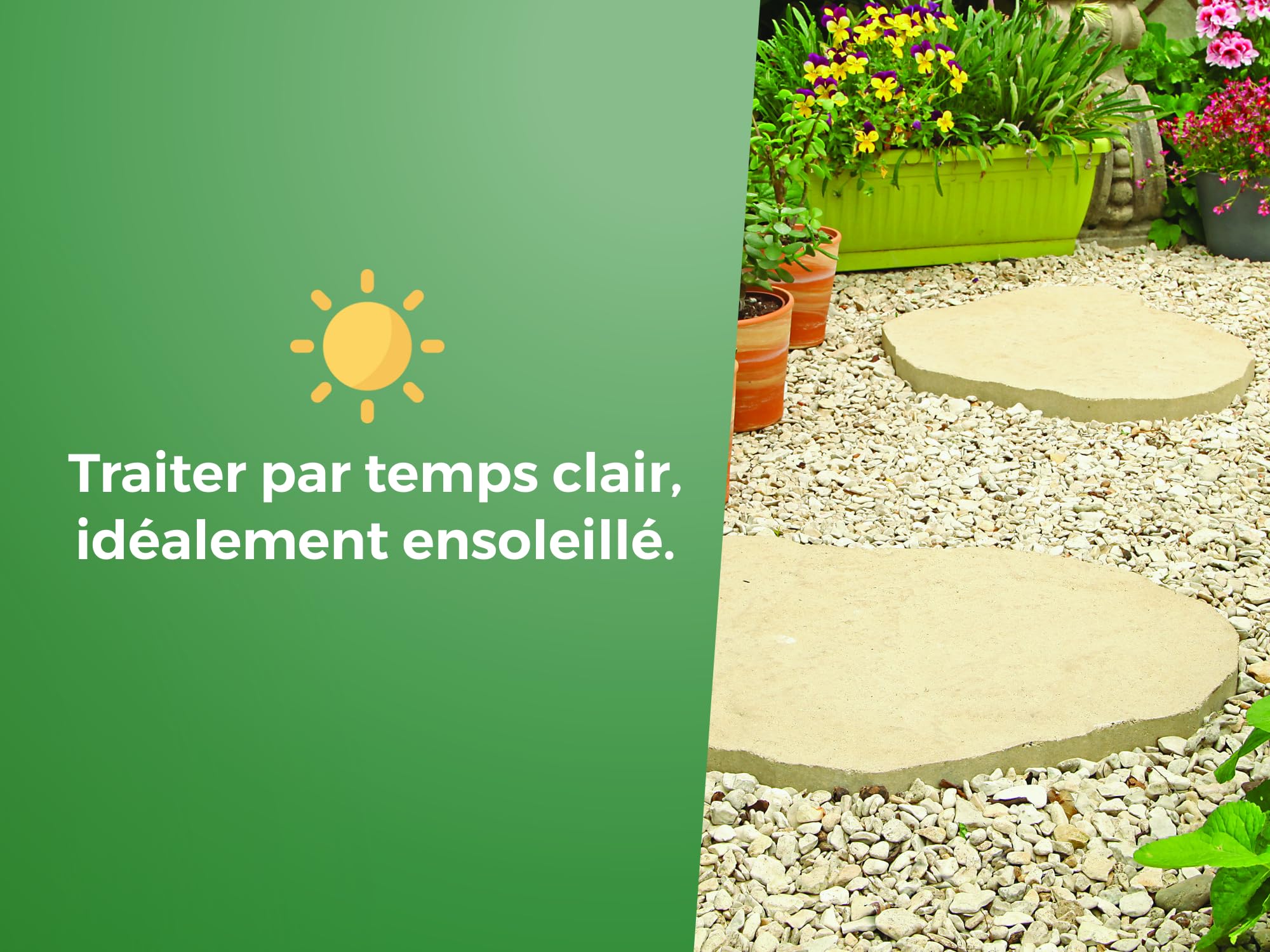 PROTECT EXPERT Désherbant Polyvalent Concentré 2,5L Jusqu’à 150m² Bidon Doseur PROHERBIO25N