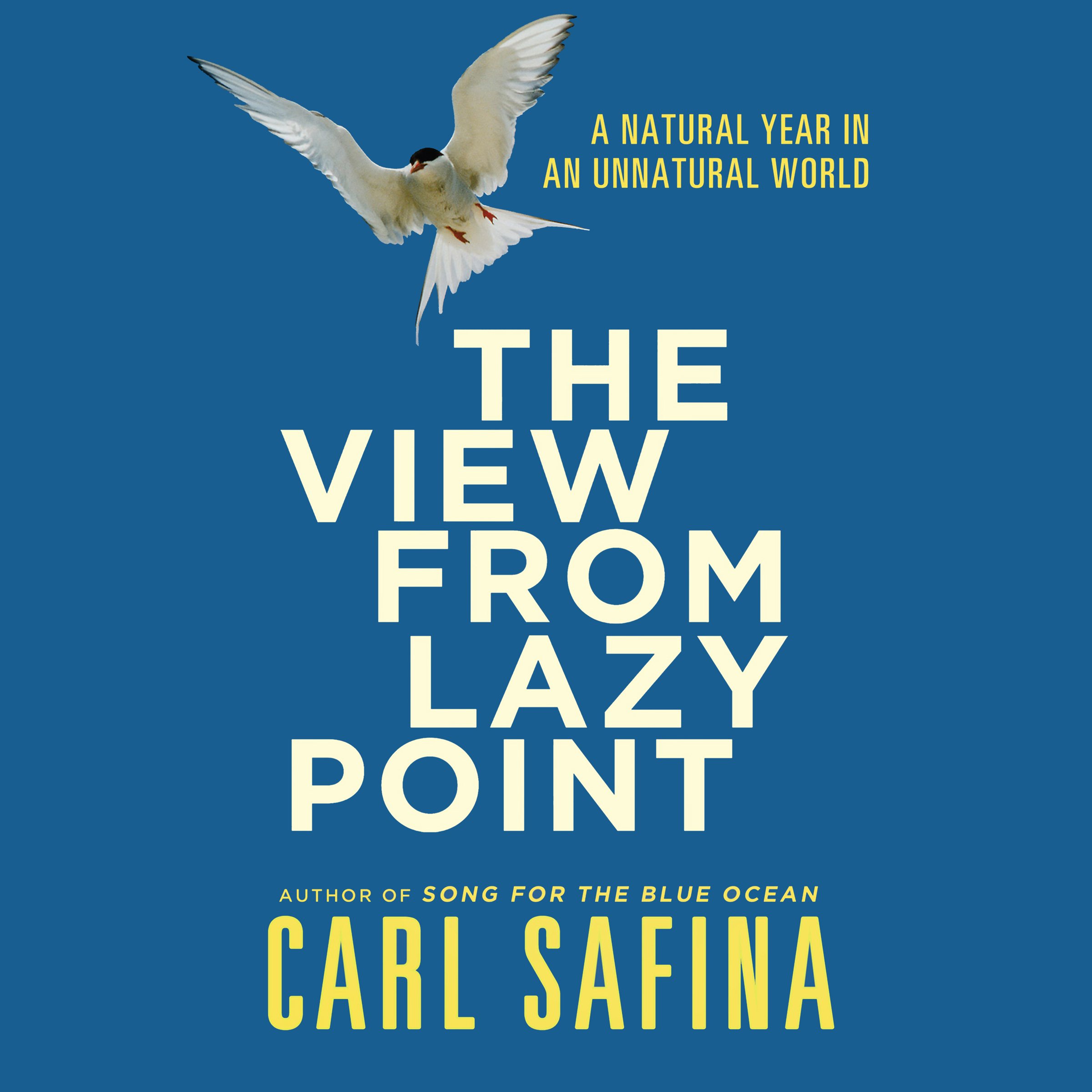 Cover art for The View From Lazy Point