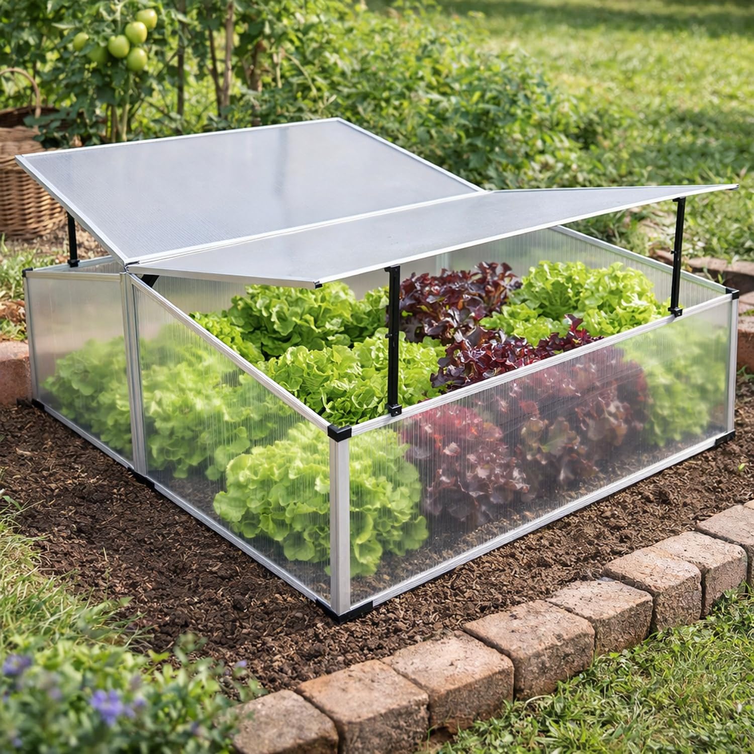 Mojawo XXL 1,21QM Fläche Alu Frühbeet mit Doppeldach 120x100x40/30cm Gewächshaus Frühbeetkasten Tomatenhaus Treibhaus