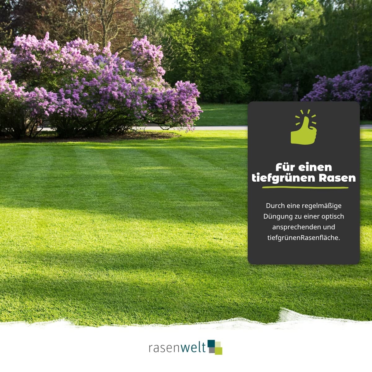 ARENA Rasendünger mit Unkrautvernichter 500m² I 2 in 1 Dünger mit Langzeitwirkung gegen Unkraut I ideal für Frühjahr und Sommer I Weed Control
