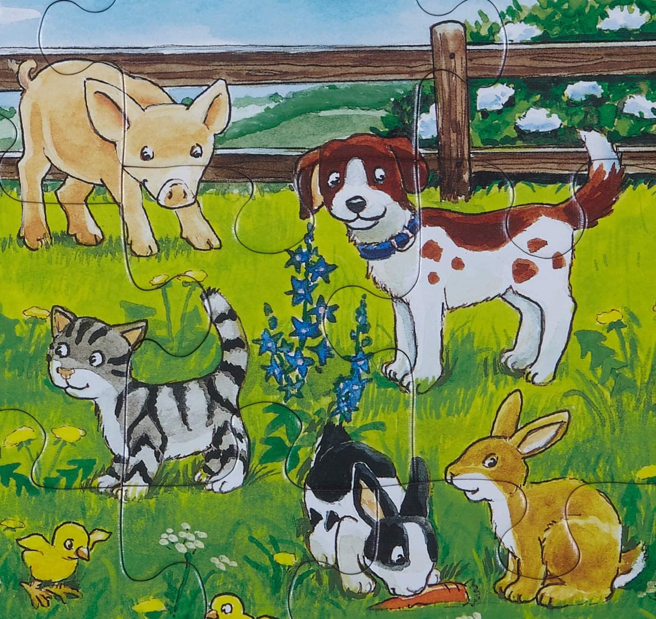 Farm Animals in The Meadow