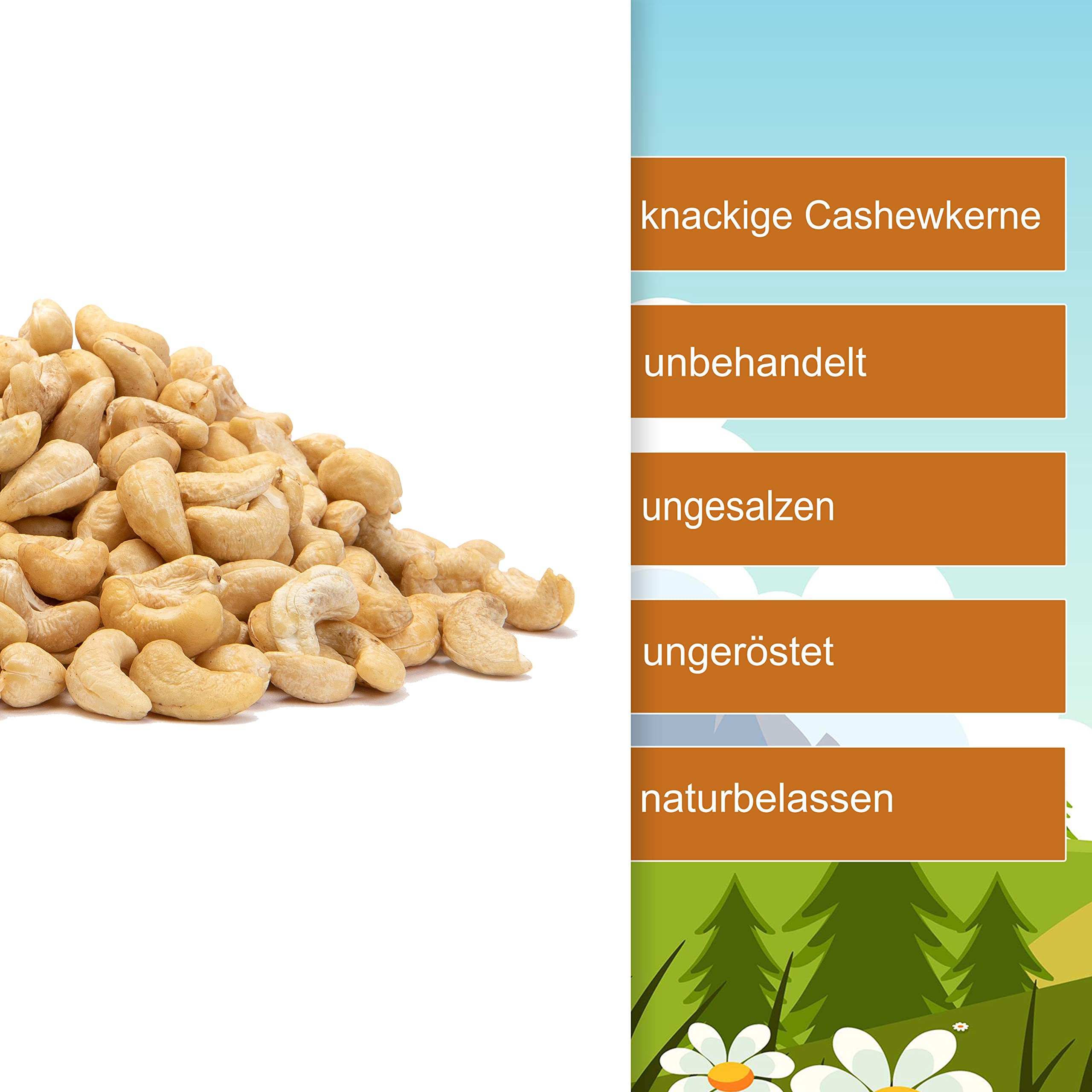 Cashewkerne Natur 3kg – naturbelassen ungeröstet ungesalzen | Knackige ganze Cashew Kerne ohne Bruch | Cashewnüsse ohne Zusätze in Rohkostqualität – im Eimer