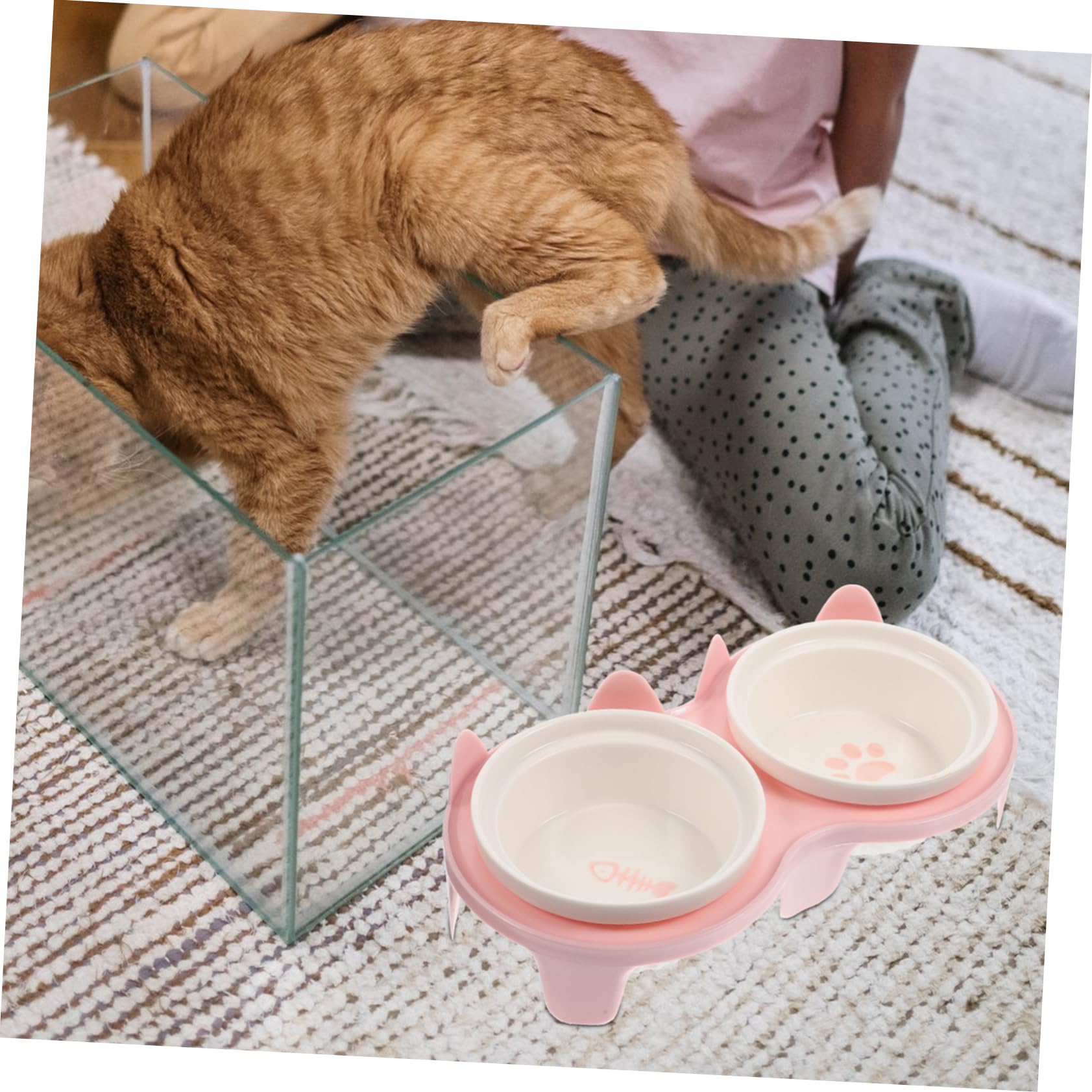 VANZACK Erhöhte Katzennäpfe Aus Keramik Mit Bambusständer Praktisch Für Haustierfutter Und Wasser Spülmaschinenfest Und Rückstandsfrei