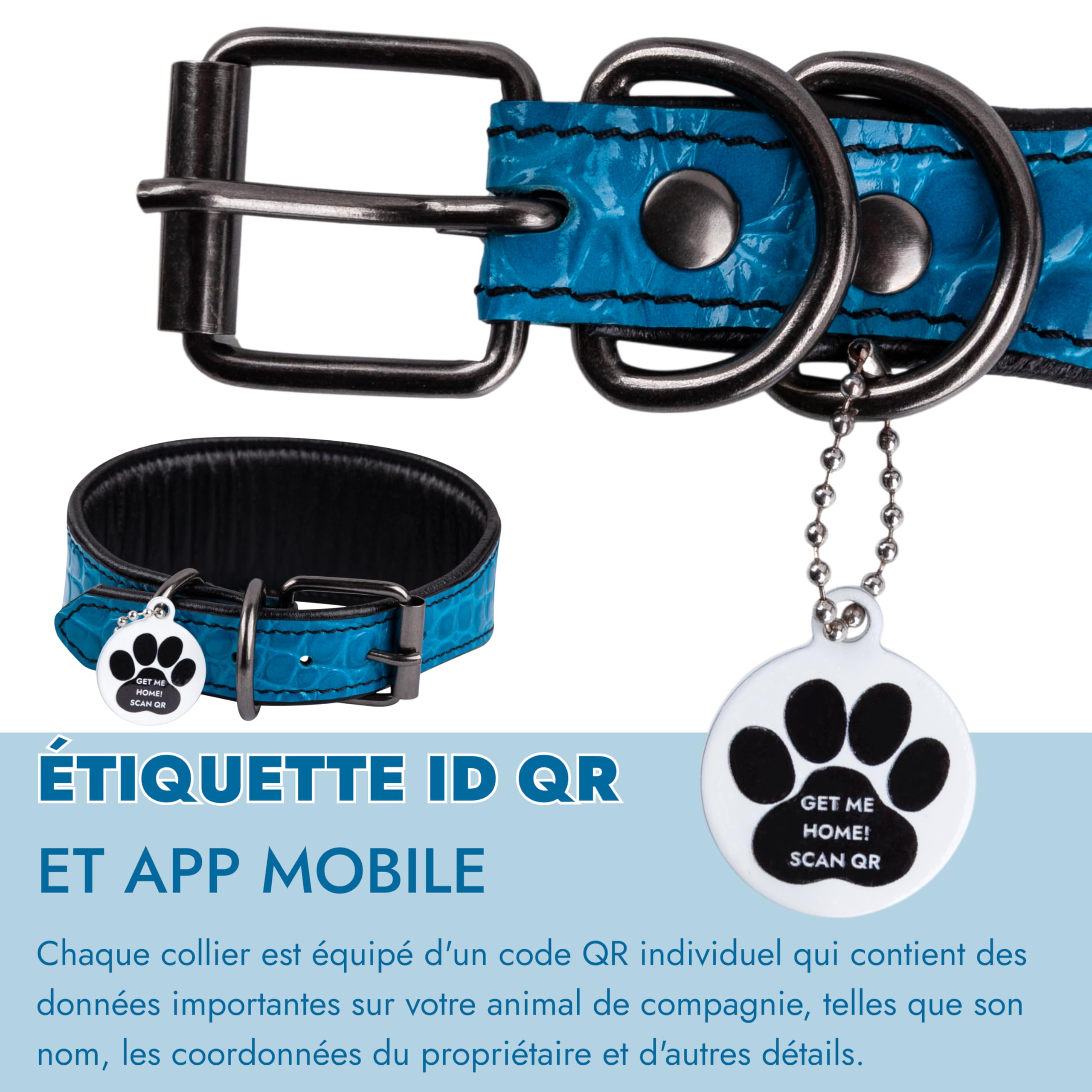 Collier en Cuir Souple pour Lévrier avec Étiquette ID QR pour Whippet Lévrier Italien Saluki Borzoi Galgo Espagnol Azawak Xoloitzcuintli, Large Collier en Cuir pour Chien (Bleu, XS)
