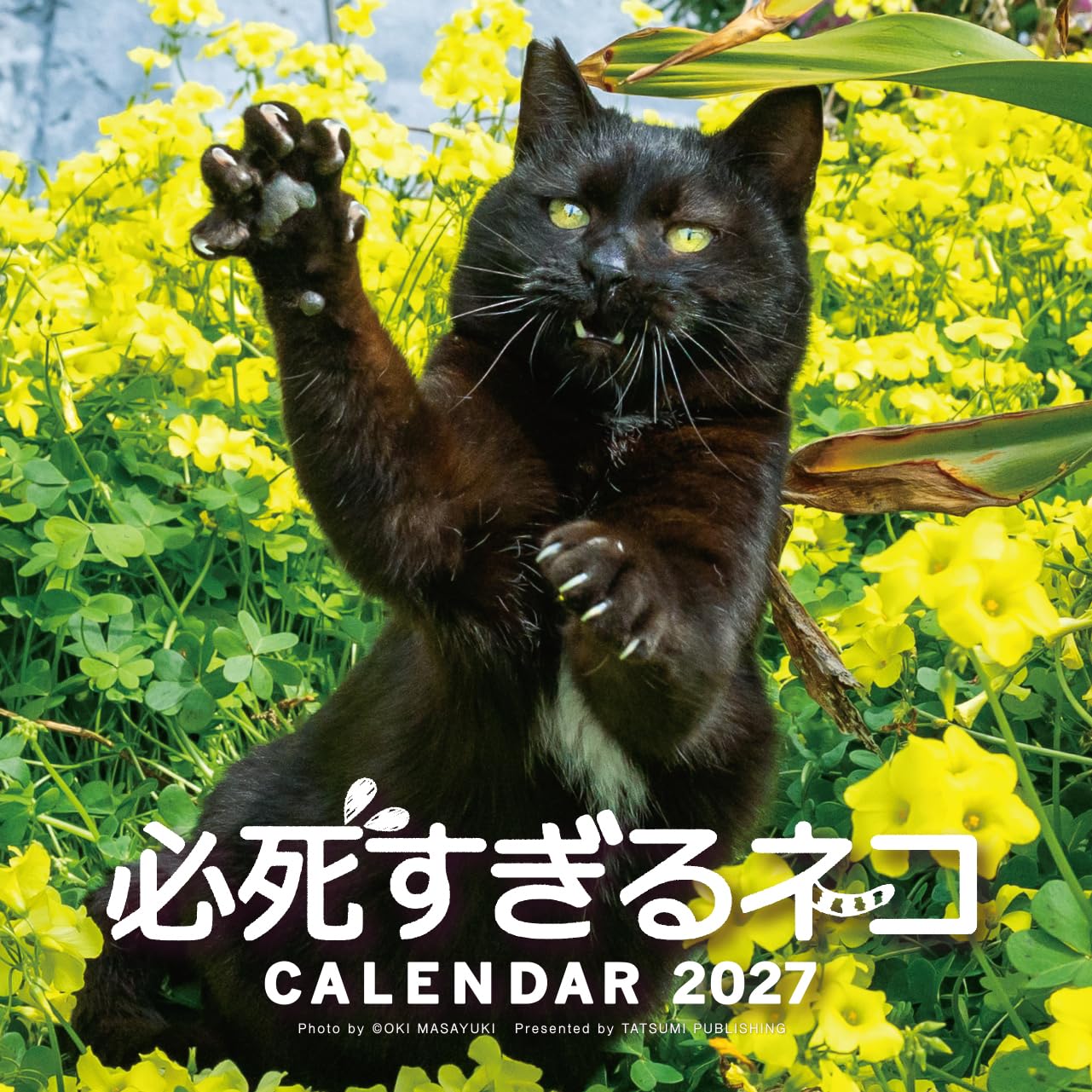 購入者特典つき】2027 必死すぎるネコカレンダー | 沖 昌之 |本 | 通販