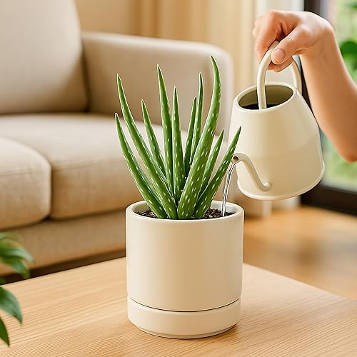 Miniatura 6 de D'vine Dev Maceta de cerámica de 4.7 pulgadas con orificio de drenaje y platillo, maceta redonda cilíndrica para interiores, avena, 94-O-B-8