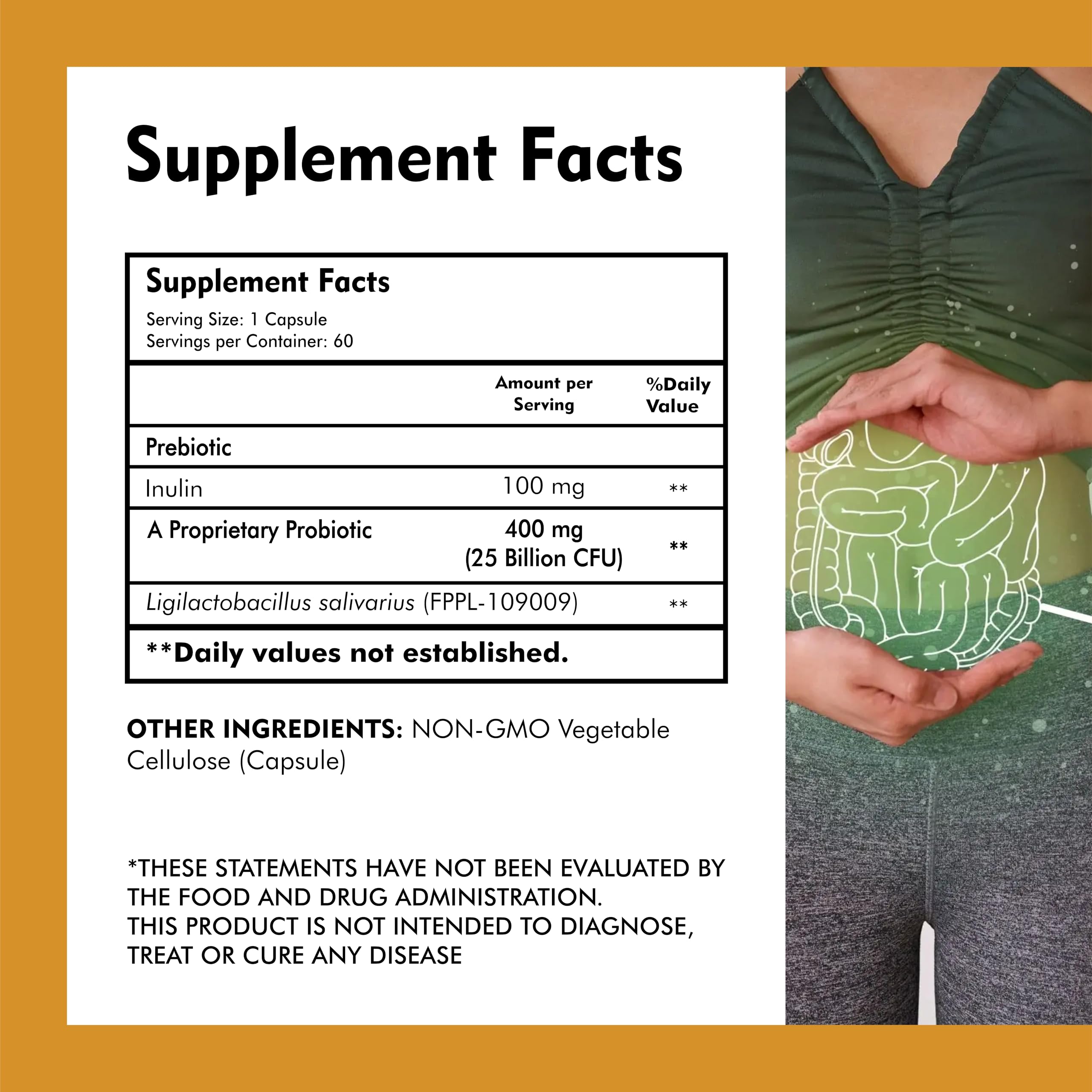 Ligilactobacillus salivarius 25 Billion Support Digestion & Gut Health | For Both Men & Women- 60 Veg Capsules — Amazon image 3