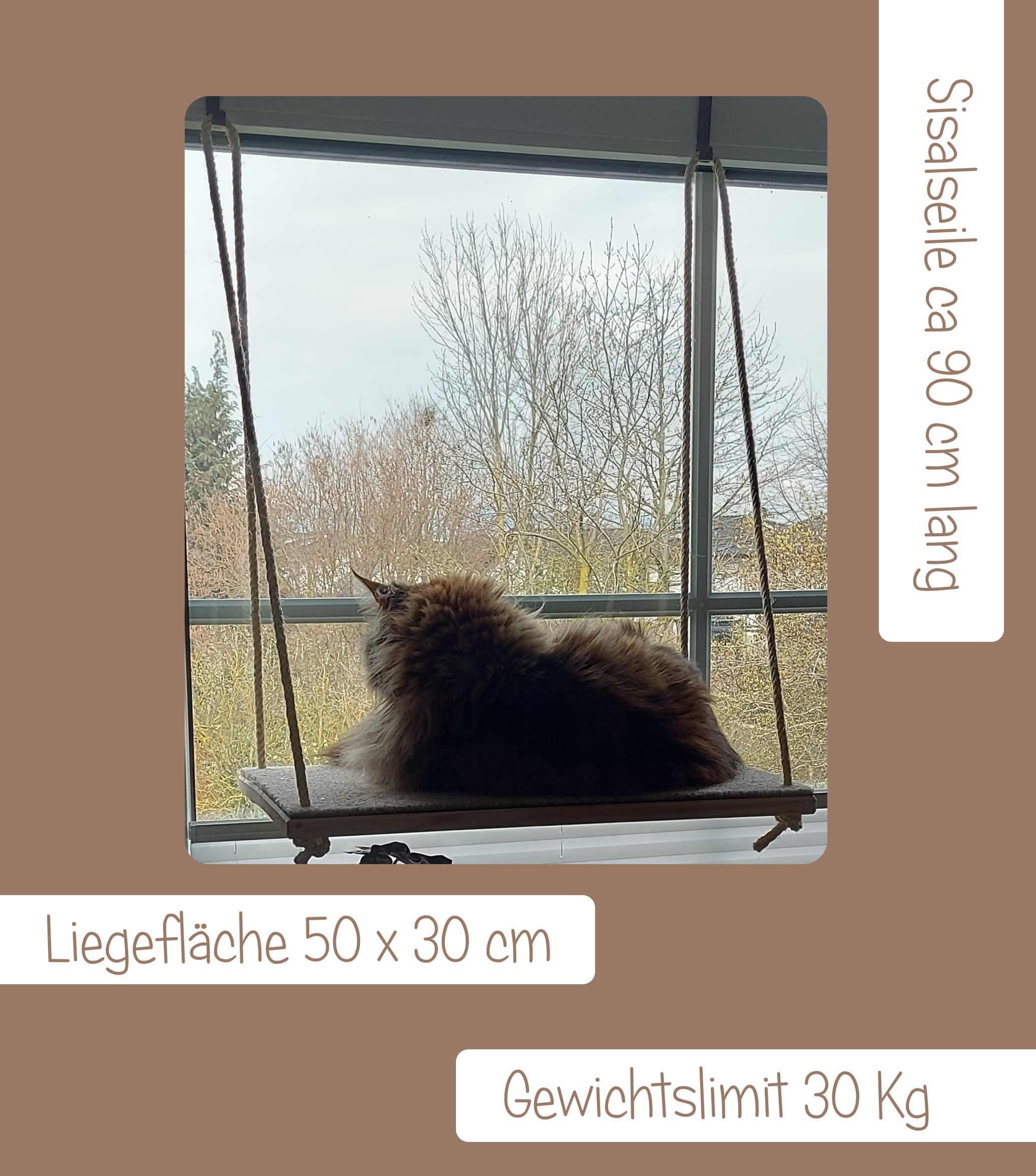CapriCorner Katzen Fensterliege, kein Herunterfallen Dank Sisalseile, Holz statt Plastik - Neuer Fensterplatz (Grau)