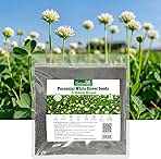 Perennial White Dutch Clover Seeds for Lawn, 2 lbs, Ground Cover Clover, Nitrocoated and Inoculated Seeds, Attracts Pollinators