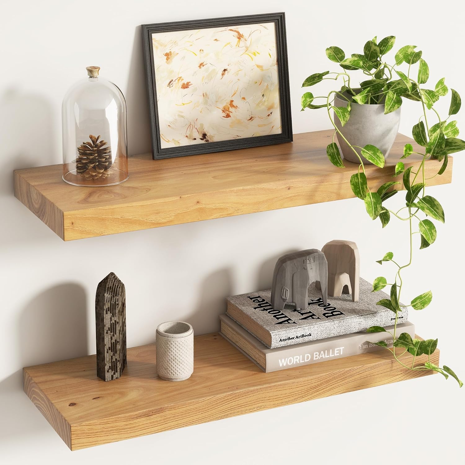 Live Edge Elm Floating Shelves for Wall Decor, Rustic Solid Wood Shevles Wall Mounted with Invisible Bracket for Living Room Bathroom Bedroom Kitchen, 24 Inch Set of 2, Natural