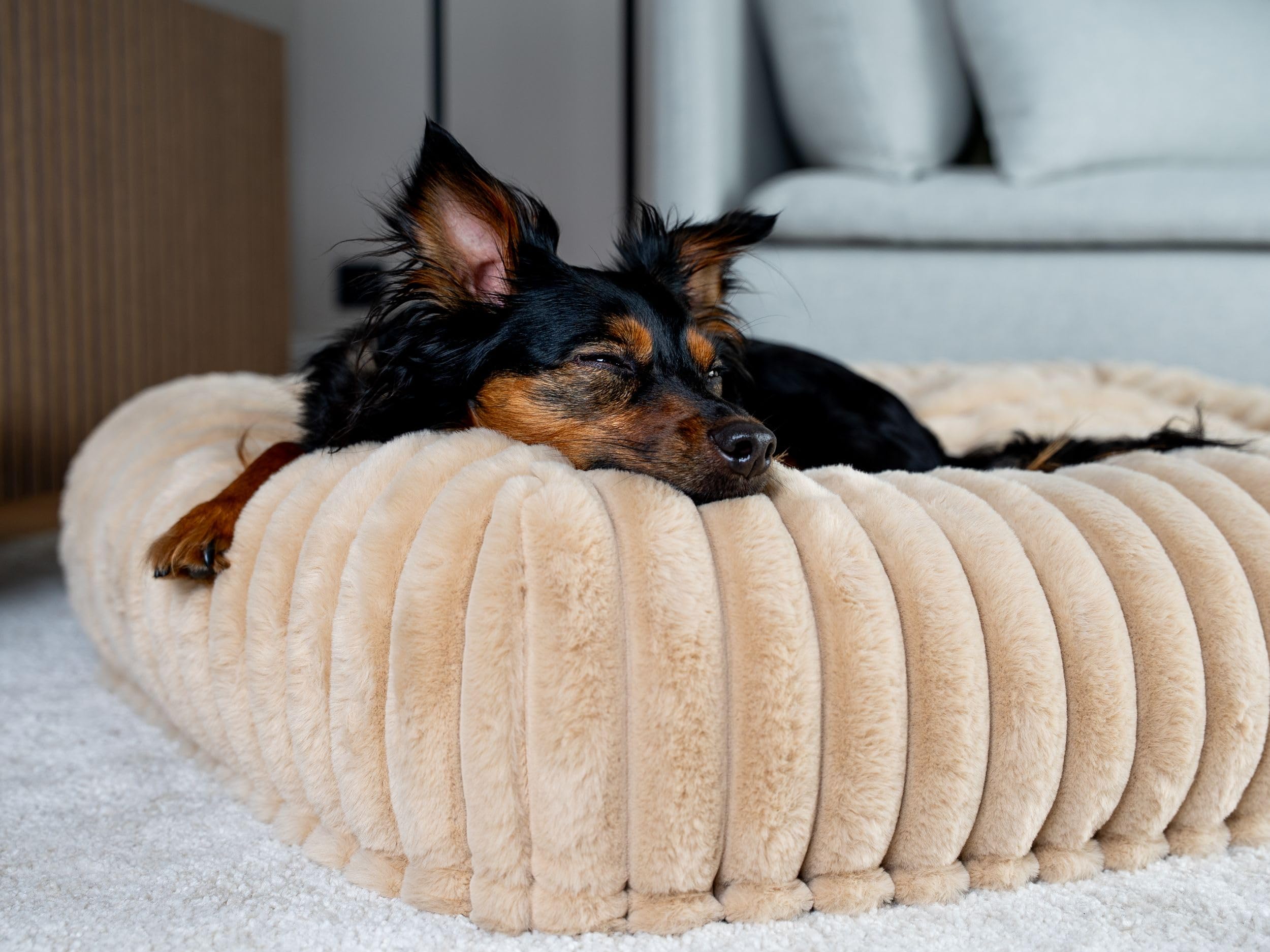 TrendPet Biscuit Cube, Hundebett (Caramel, M)