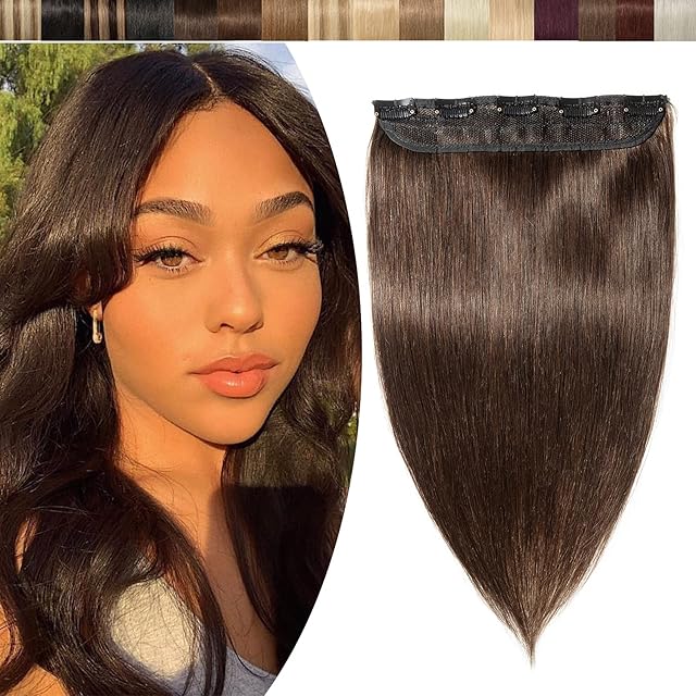 8 inches SEGO One Piece Clip in Remy Real Hair Extensions Human Hair [#2 Dark Brown] Hairpieces for Women 3/4 Full Head Straight (40g)