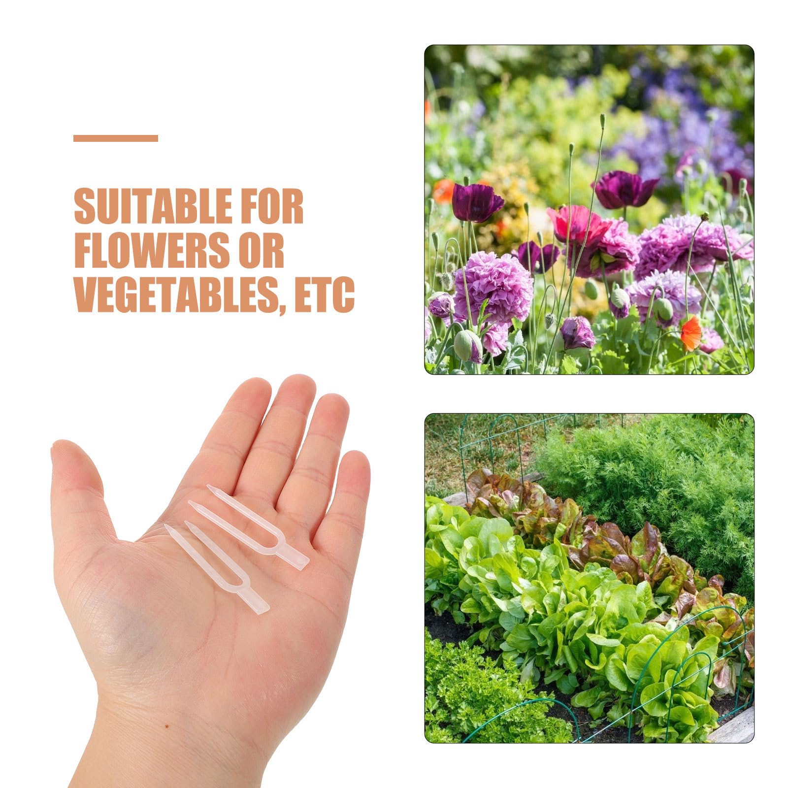 Angoily 1 Jeu de Tuteurs pour Plantes d'intérieur - Fourches à Planter Les fraisiers pour la Terre et Le Jardin - Clips de Fixation pour tiges de Jardin - Tuteurs en Plastique - Fournitures de