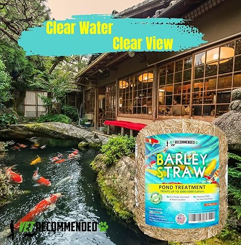 Miniatura 6 de Paja de cebada para estanques de peces y fuente (16 onzas). Trata hasta 3000 a 5000 galones, limpiador de estanques 100% seguro y natural. Mantiene