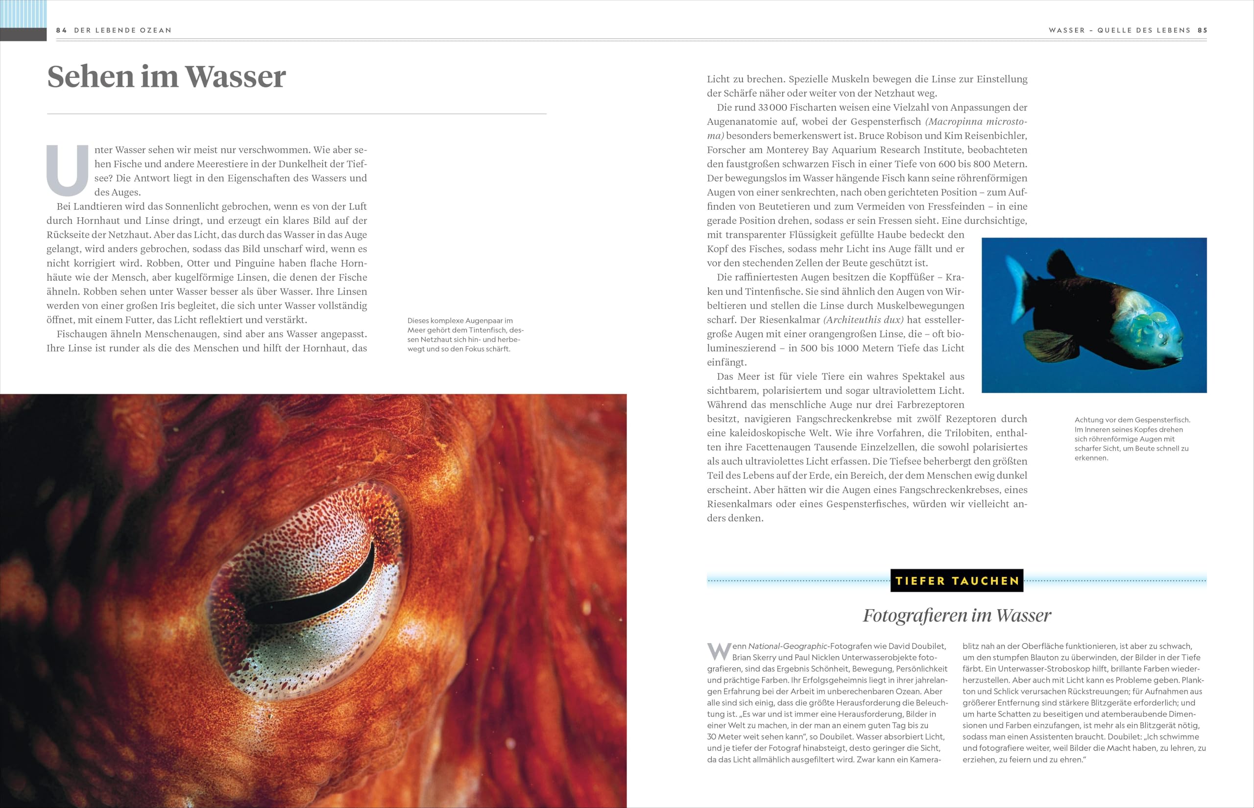 National Geographic Buch der OZEANE: Eine Liebeserklärung an den schönsten Lebensraum der Erde.