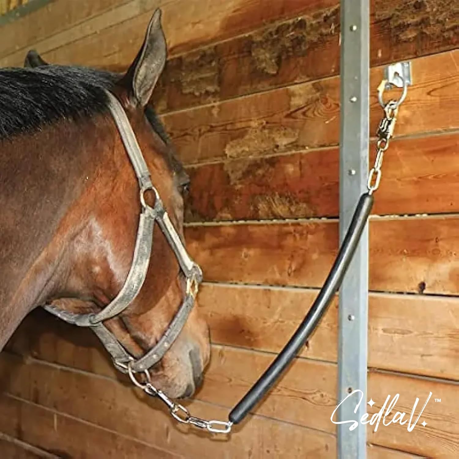 SEDLAV Ring Guard Horse Cross Ties -Heavy Duty 4-Pack with Spring Snap Hook- Durable & Weather Resistant Stall Accessories for Horses, Goats, Sheep - Ideal for Hanging Feed Bags, Hay Nets and More