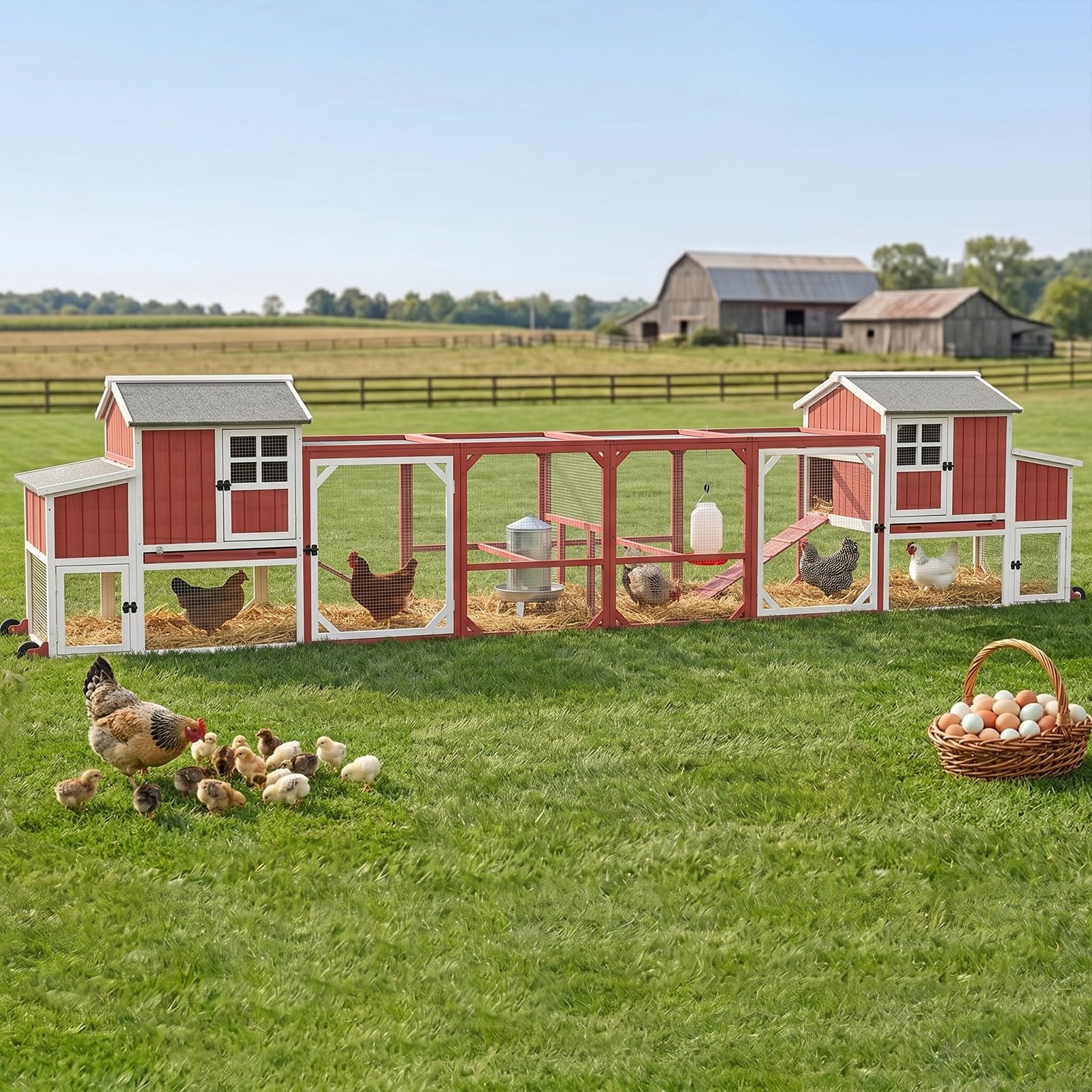 Magazoopet 187</strong> Double Coop