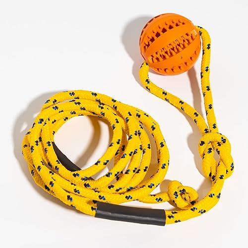 Miniatura 8 de Juguete de cuerda y pelota para perros para entrenamiento de perros, ejercicio, agilidad, persecución, tirones y tira y afloja, cuerda de 10 pies,
