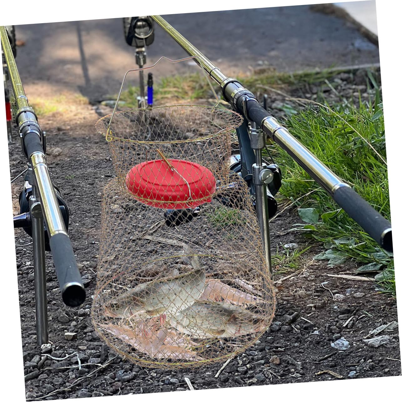 VANZACK Bourriche de Pêche Pliable en Fer, Panier Rond Polyvalent pour Poissons et Crabes, Portable et Peu Encombrant Pêche