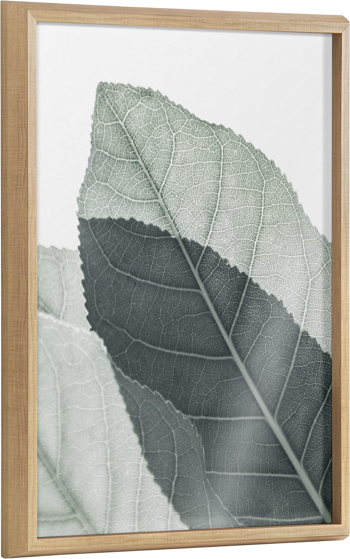 Kate and LaurelBlake Modern Green Leaf Botanical II Framed Printed Glass Wall Art by The Creative Bunch Studio, 18x24 Natural, Decorative Nature Art for Wall