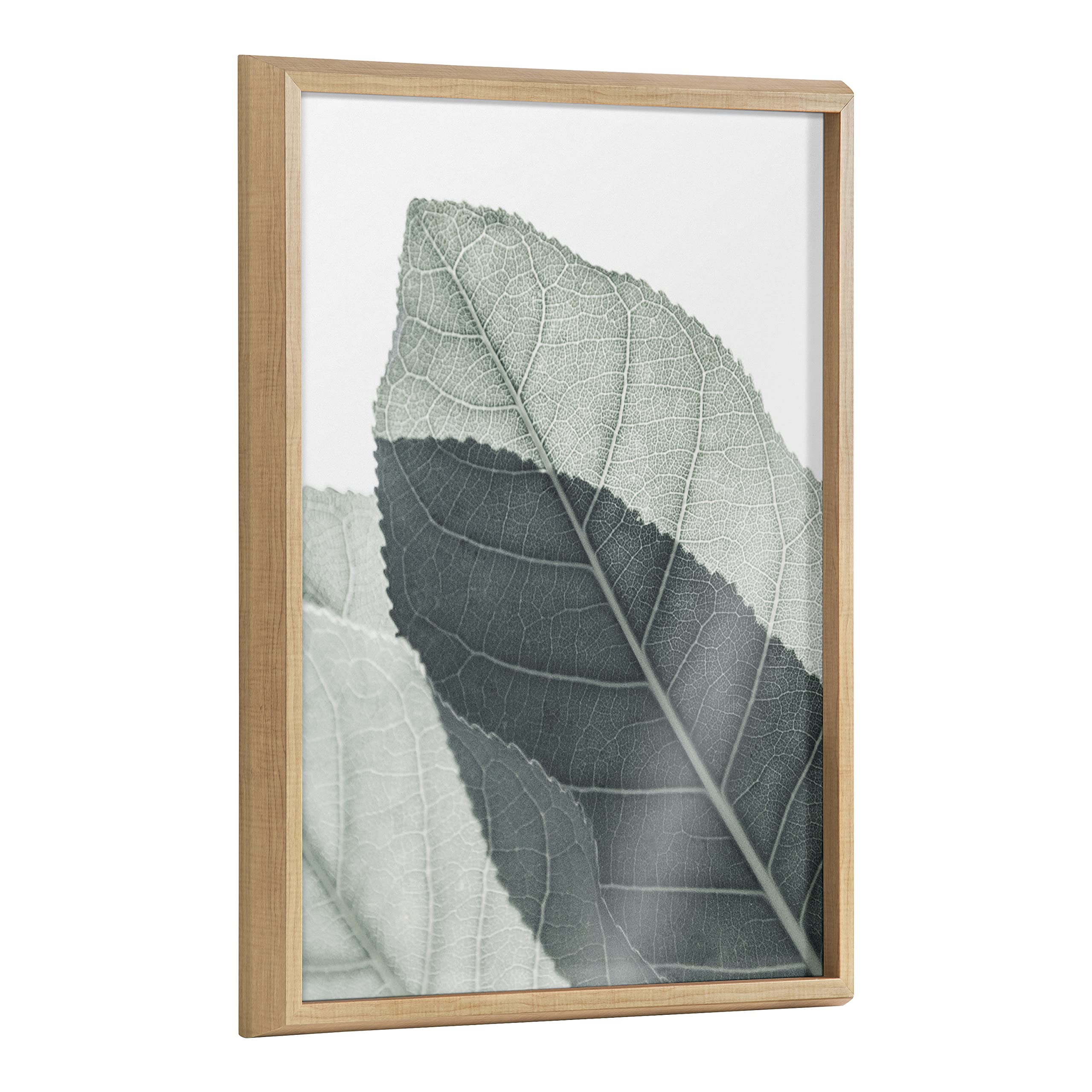Kate and LaurelBlake Modern Green Leaf Botanical II Framed Printed Glass Wall Art by The Creative Bunch Studio, 18x24 Natural, Decorative Nature Art for Wall