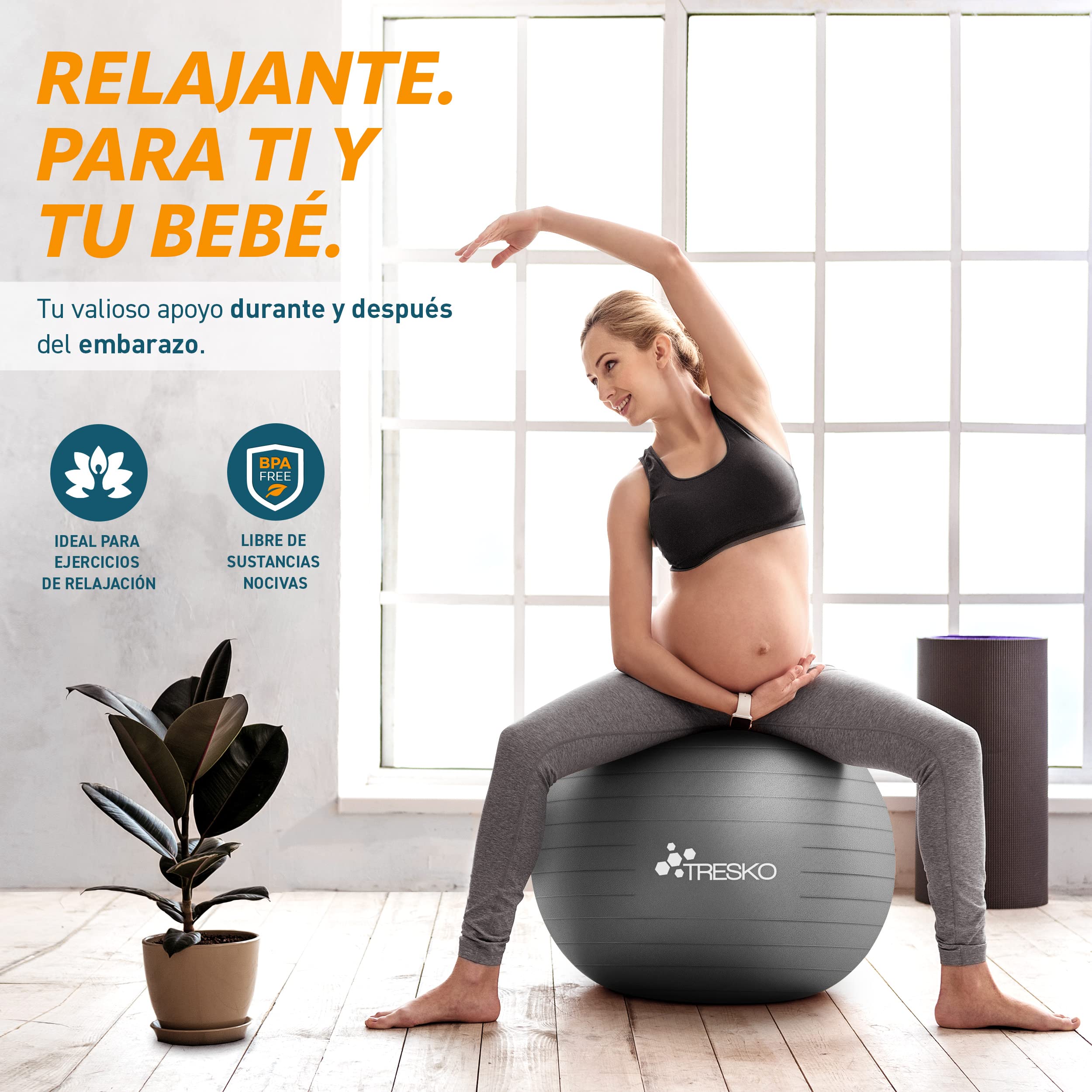 TRESKO Pelota de Gimnasia Anti-Reventones Bola de Yoga Pilates 300 kg con Bomba de Aire