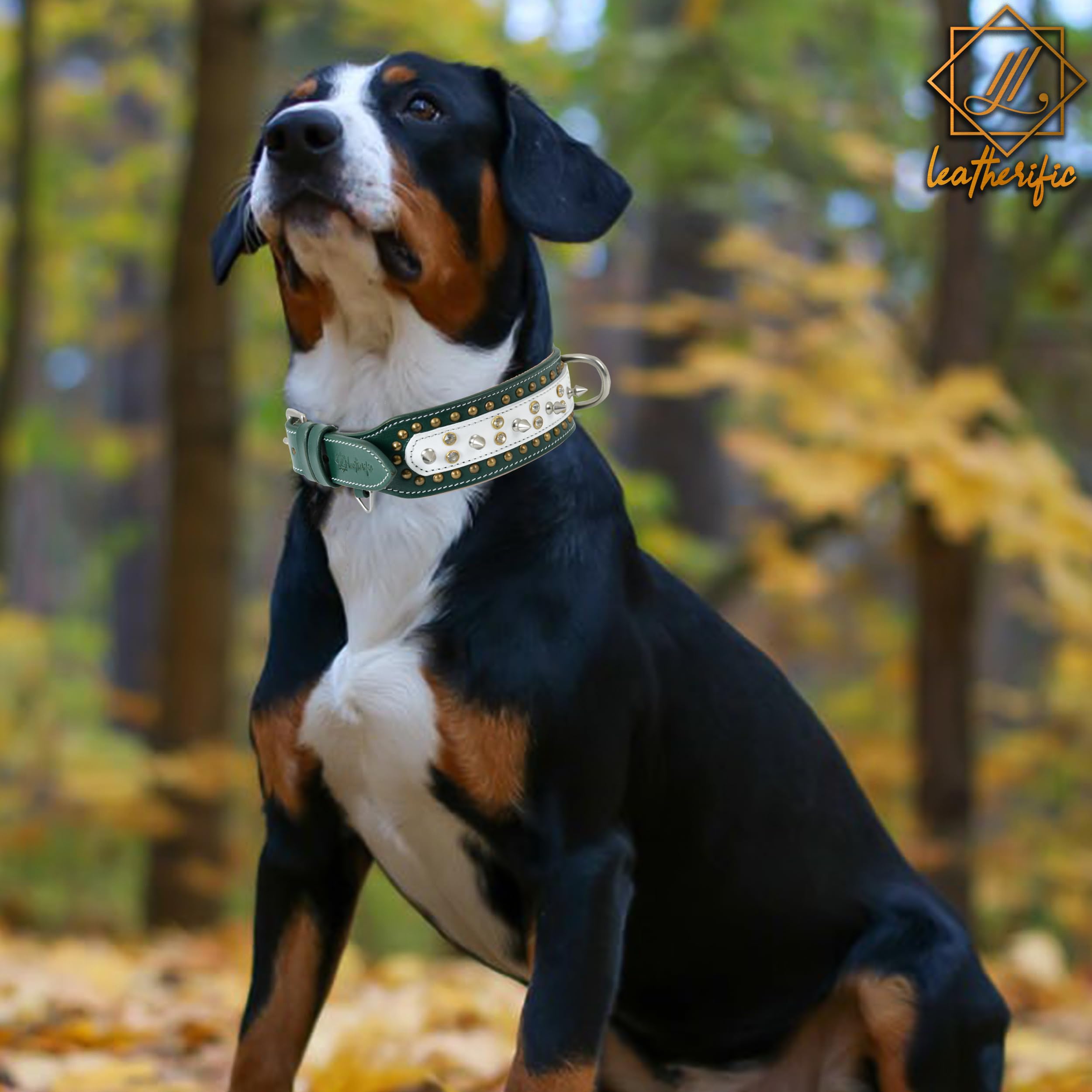 Leatherify - Collar de cuero genuino para perro, de alta calidad, resistente, acolchado, fuerte, con picos atornillados, razas medianas, grandes, extragrandes, 2 pulgadas de ancho (color verde bosque