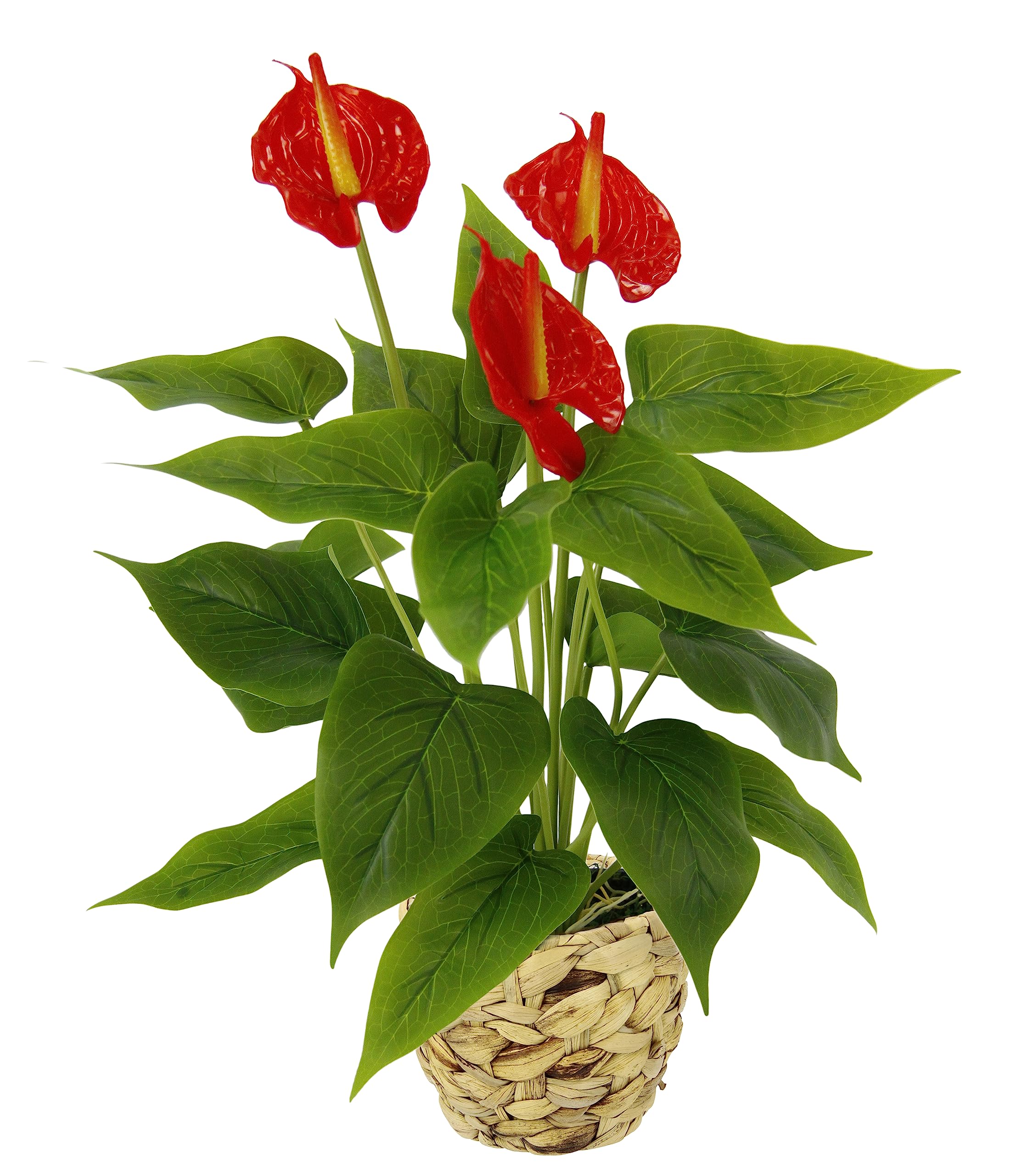 Artificiale in vaso Anthurium Pianta Anthurium Esotico Flamingo Fiore Fenicottero Fiore rosso Pianta esotica Pianta di fenicottero Pianta artificiale