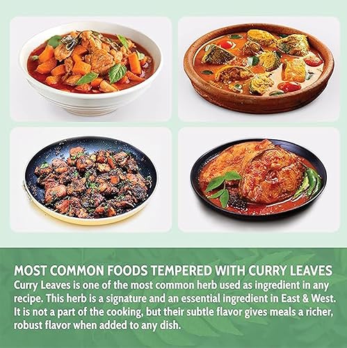 Miniatura 7 de FreshDrinkUS, Hojas de curry prémium de 0.9 onzas, hojas secas enteras, 100% naturales, hojas de curry puro, hechas a mano, artesanales, especias