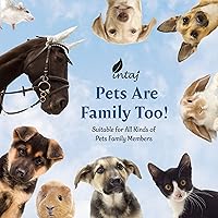 Vista 9 de INTAJ Urna de cremación de madera tallada a mano para cenizas humanas, diseño de árbol de la vida, capacidad de 250 libras, adecuada para hombres