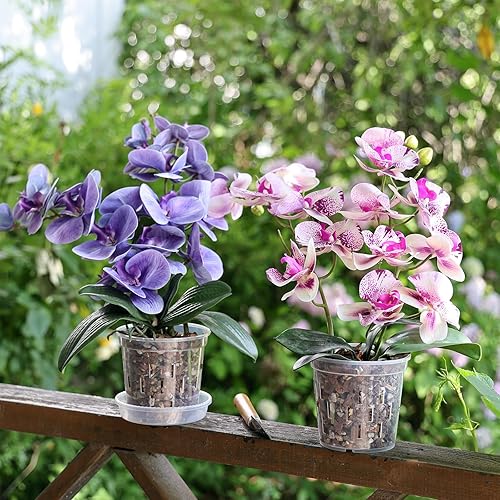 Miniatura 7 de TRUEDAYS Paquete de 4 macetas de orquídeas con platillos, macetas de plástico transparente de 5 pulgadas con agujeros de drenaje para plantas de