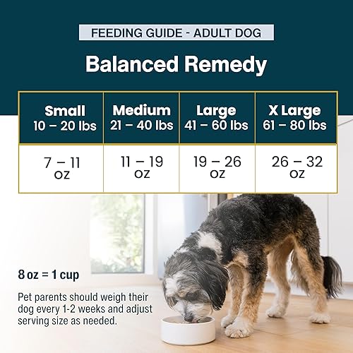 Miniatura 9 de JustFoodForDogs Pantry Fresh - Alimento húmedo para perros, comida completa o alimento para perros, para estómagos sensibles, remedio equilibrado